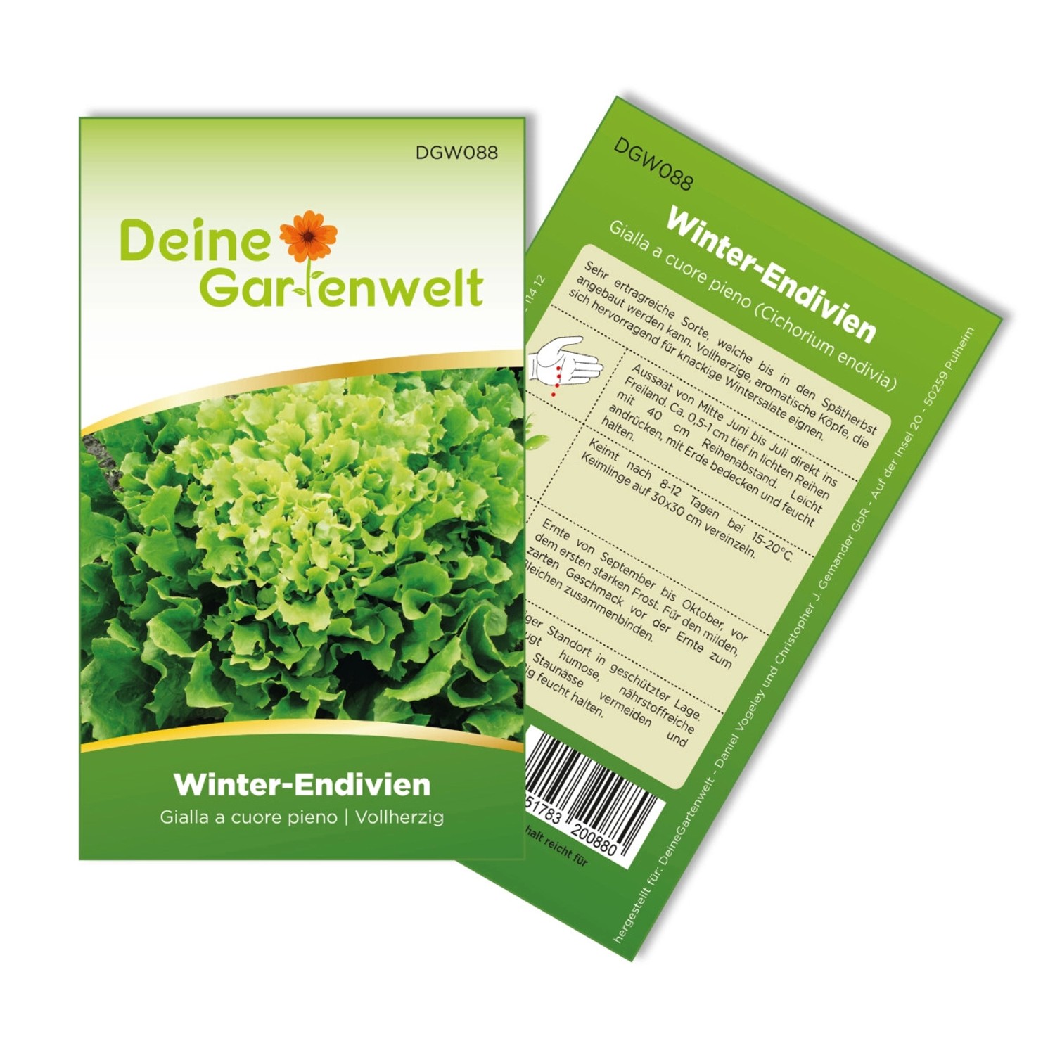 Deine Gartenwelt Winterendivien Gialla A Cuore Samen günstig online kaufen