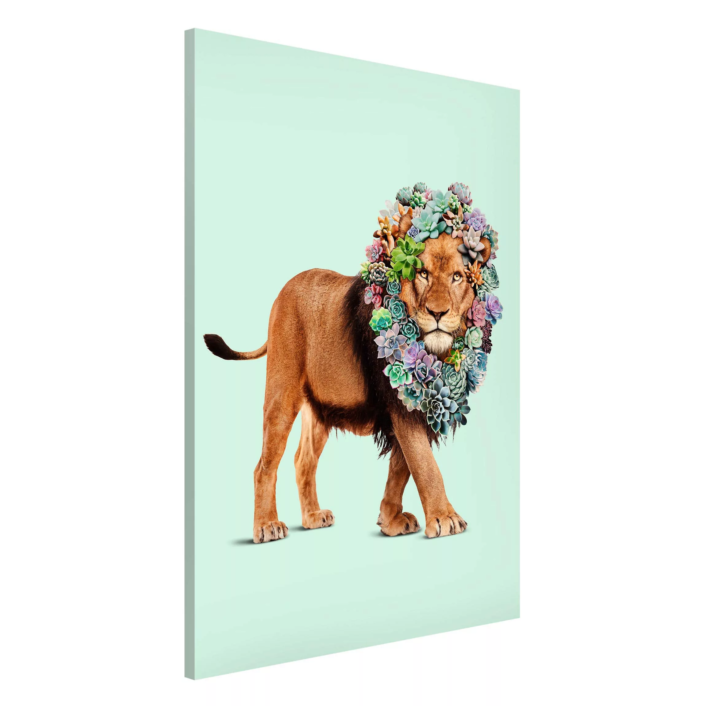 Magnettafel Blumen - Hochformat 2:3 Löwe mit Sukkulenten günstig online kaufen