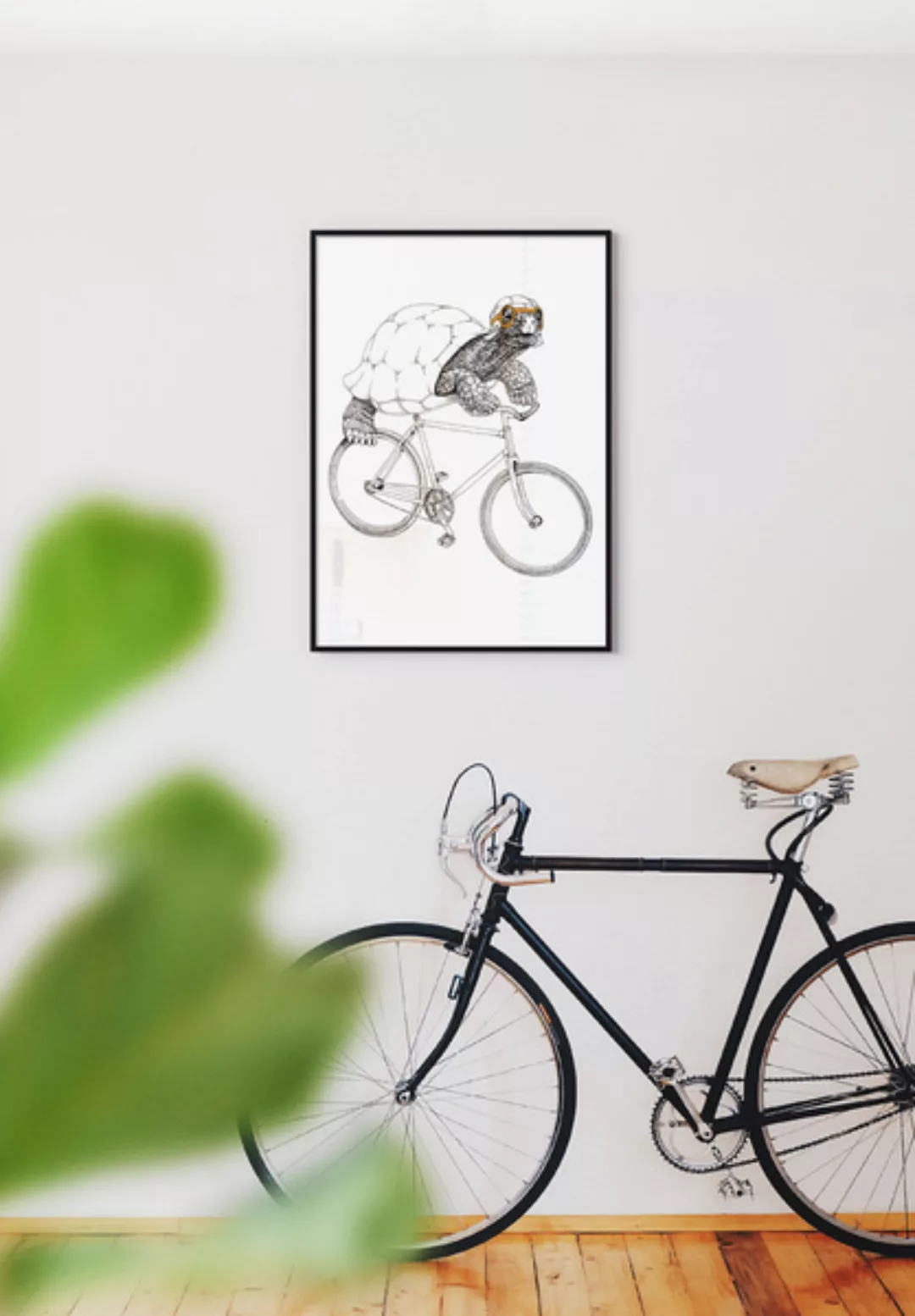 Poster Bike Turtle günstig online kaufen
