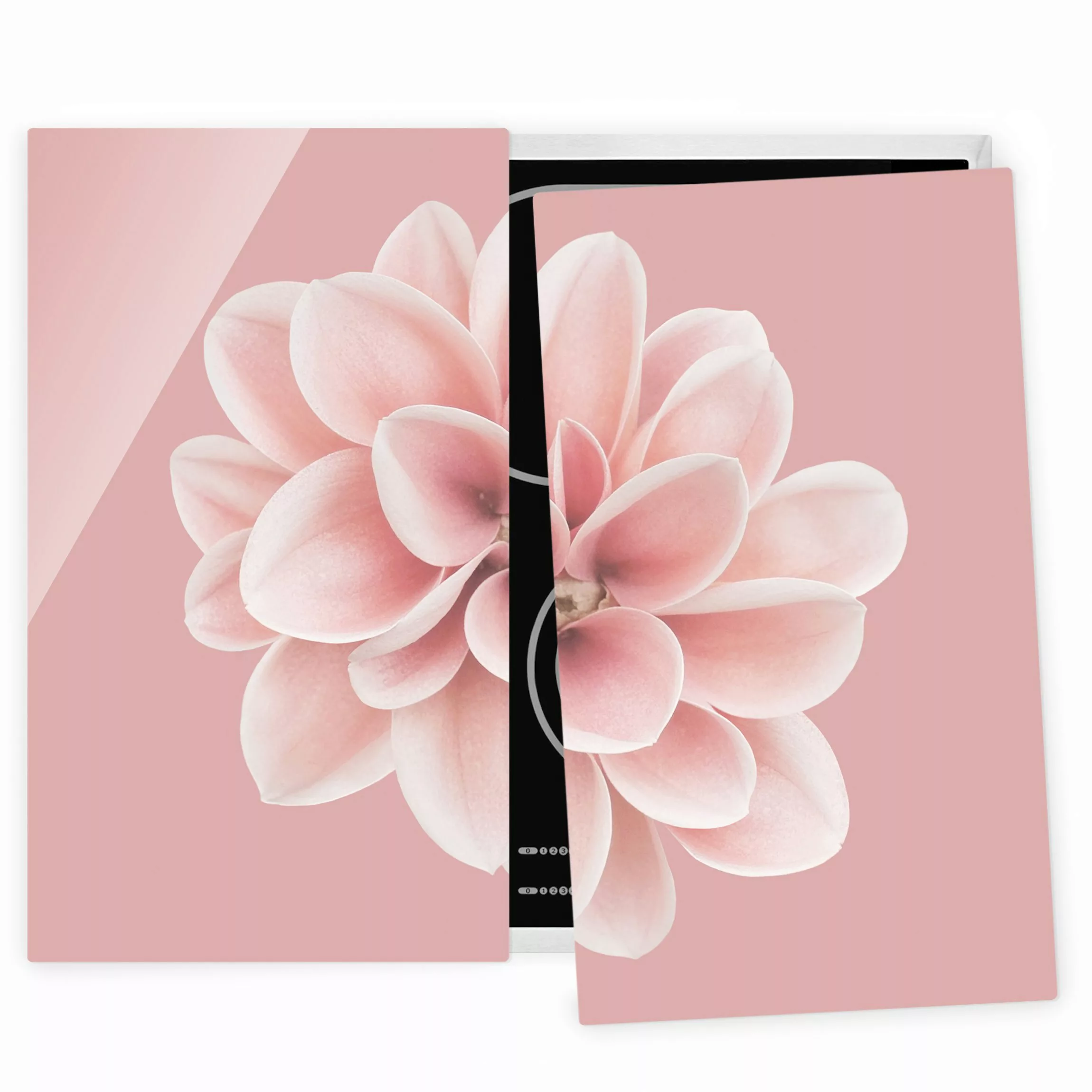 Herdabdeckplatte Blumen Dahlie Rosa Blush Blume Zentriert günstig online kaufen