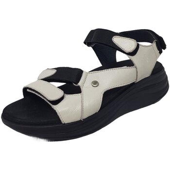 Wolky  Sandalen Sandaletten Cirro alt 0565030-121 günstig online kaufen