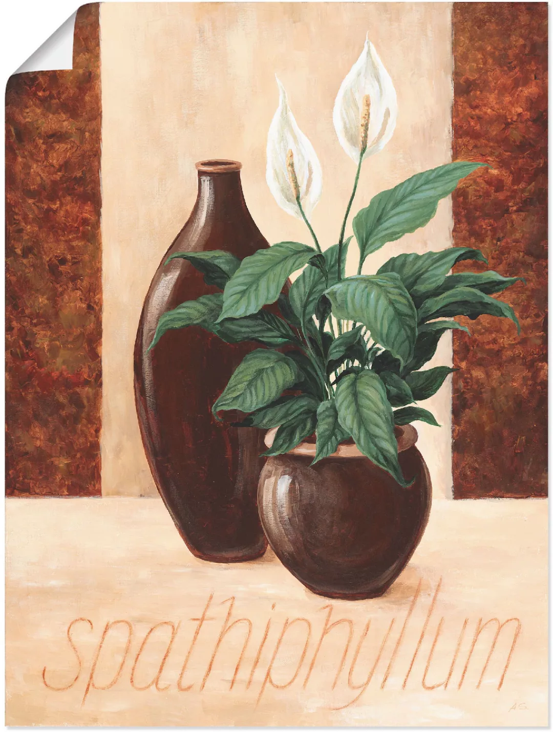 Artland Poster "Spathiphyllum - Einblatt", Pflanzenbilder, (1 St.), als Alu günstig online kaufen