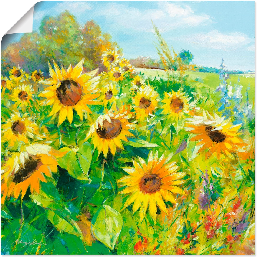 Artland Wandbild "Sommerwiese mit Sonnenblumen", Blumenwiese, (1 St.), als günstig online kaufen