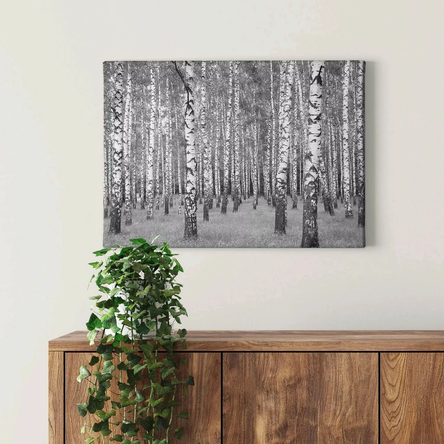 Bricoflor Birkenwald Bild Auf Leinwand In Schwarz Weiß Wandbild Mit Wald Mo günstig online kaufen