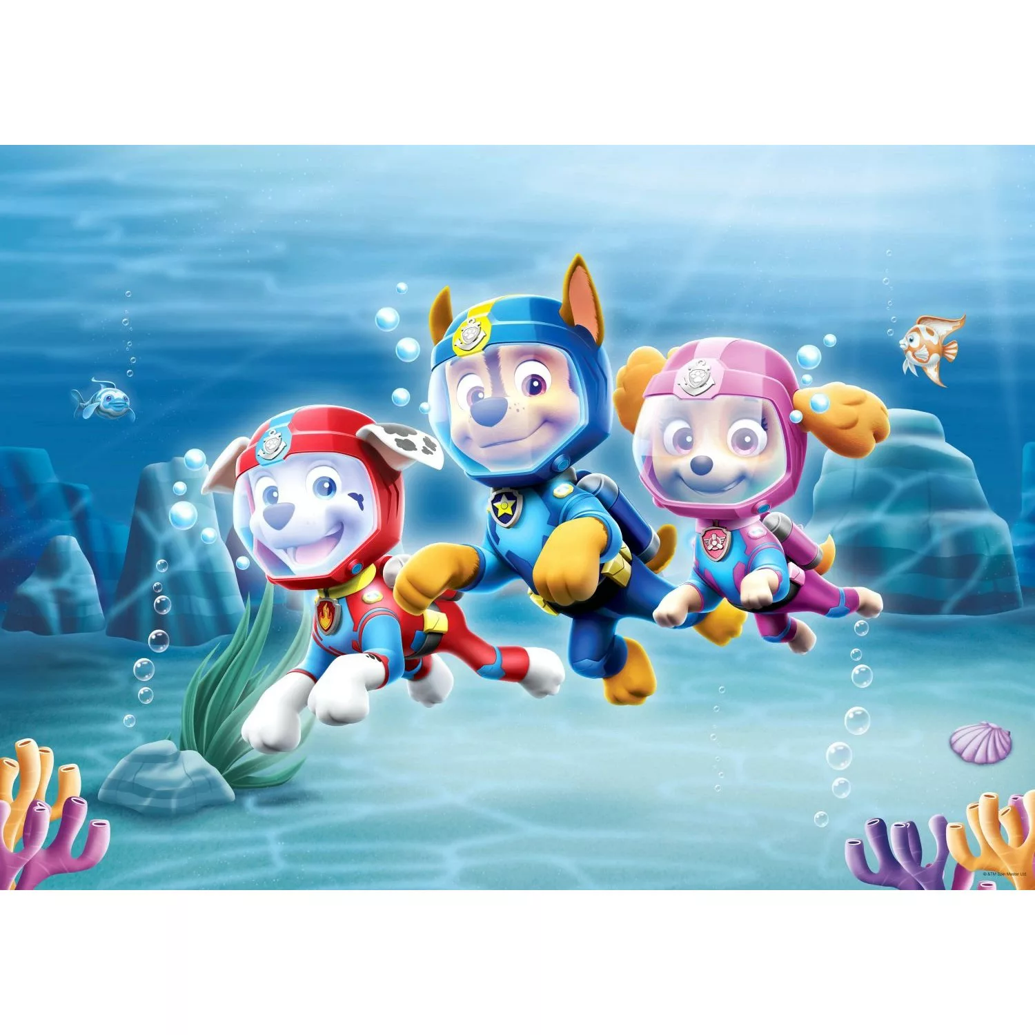 Sanders & Sanders Poster Paw Patrol Blau 160 x 110 cm 600675 günstig online kaufen