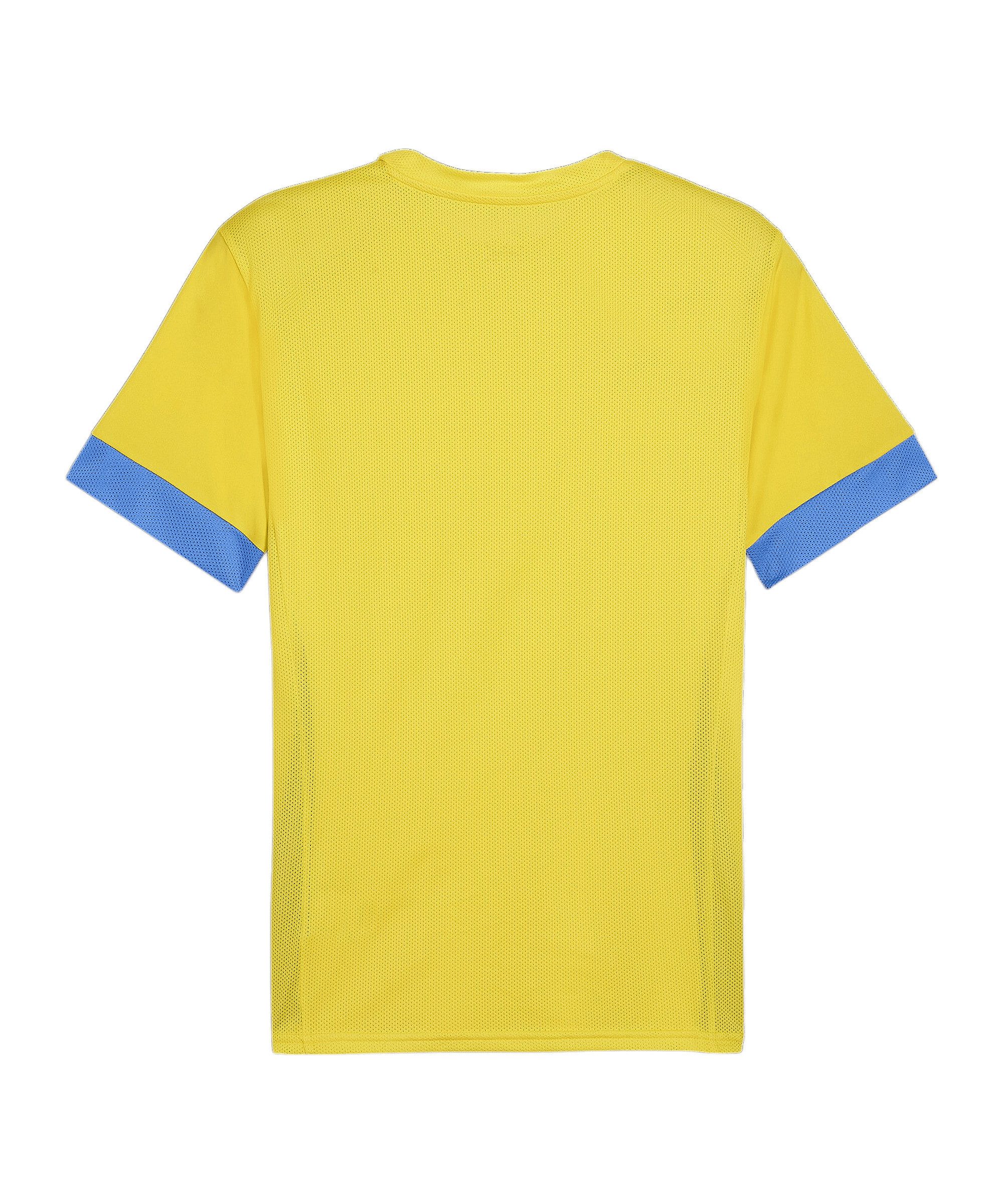 PUMA Fußballtrikot PUMA teamGOAL Matchday Trikot günstig online kaufen