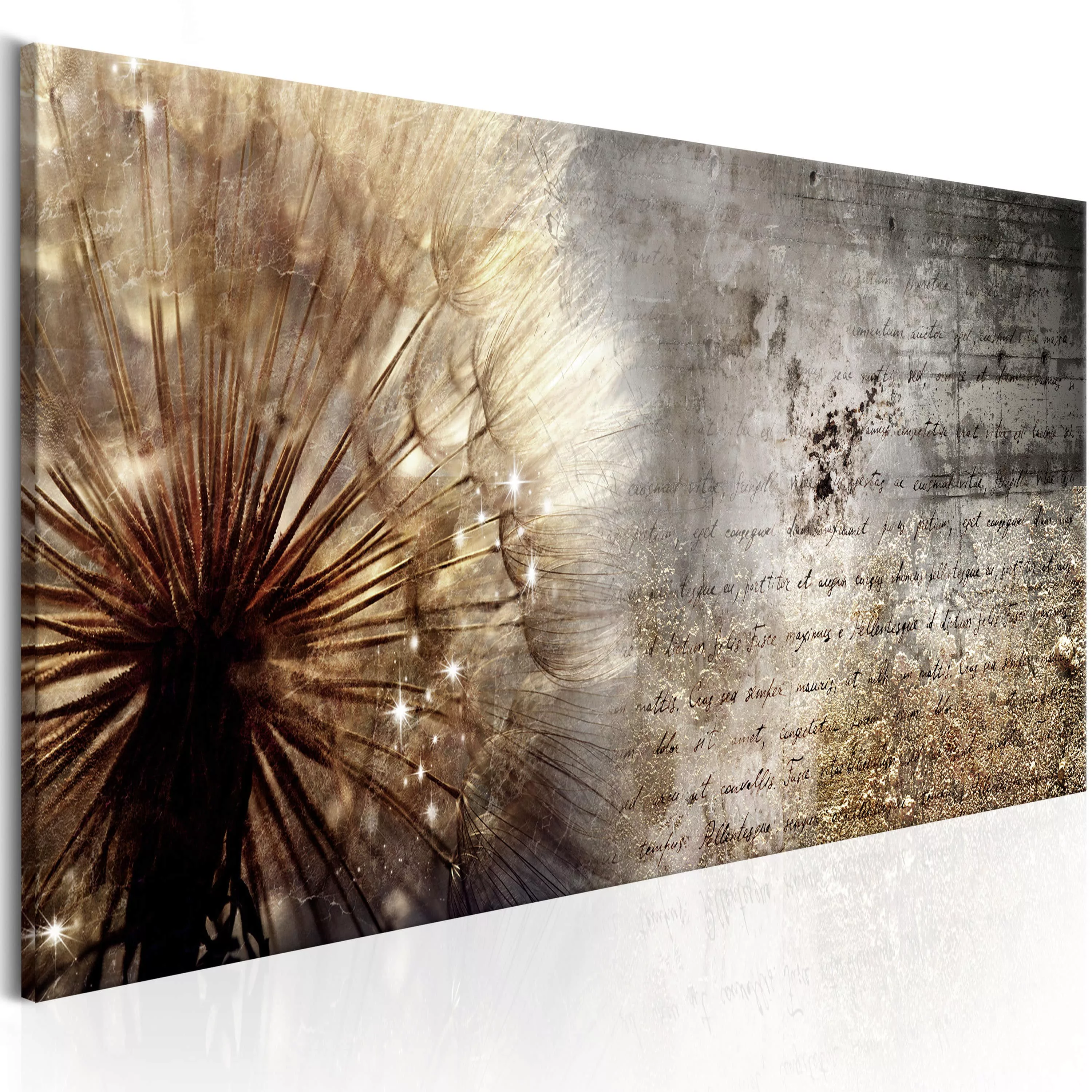 Wandbild - Dandelion on Concrete günstig online kaufen