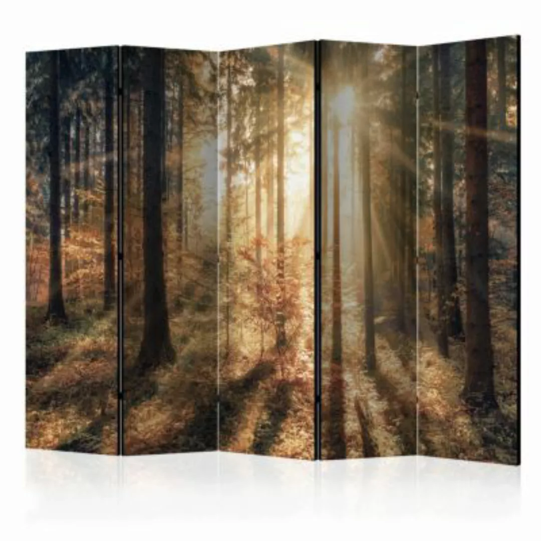 artgeist Paravent Autumnal Forest II [Room Dividers] mehrfarbig Gr. 225 x 1 günstig online kaufen