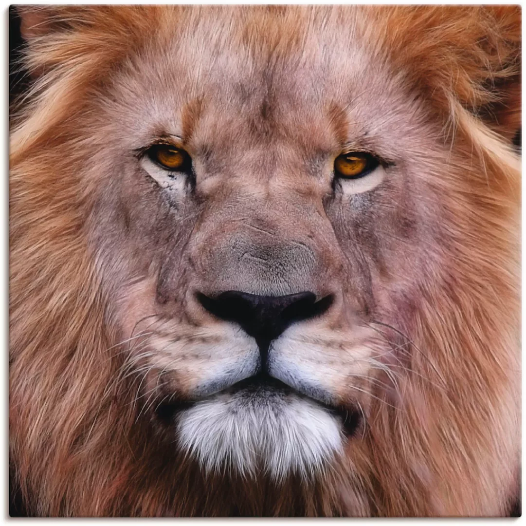 Artland Leinwandbild »König der Löwen«, Wildtiere, (1 St.), auf Keilrahmen günstig online kaufen