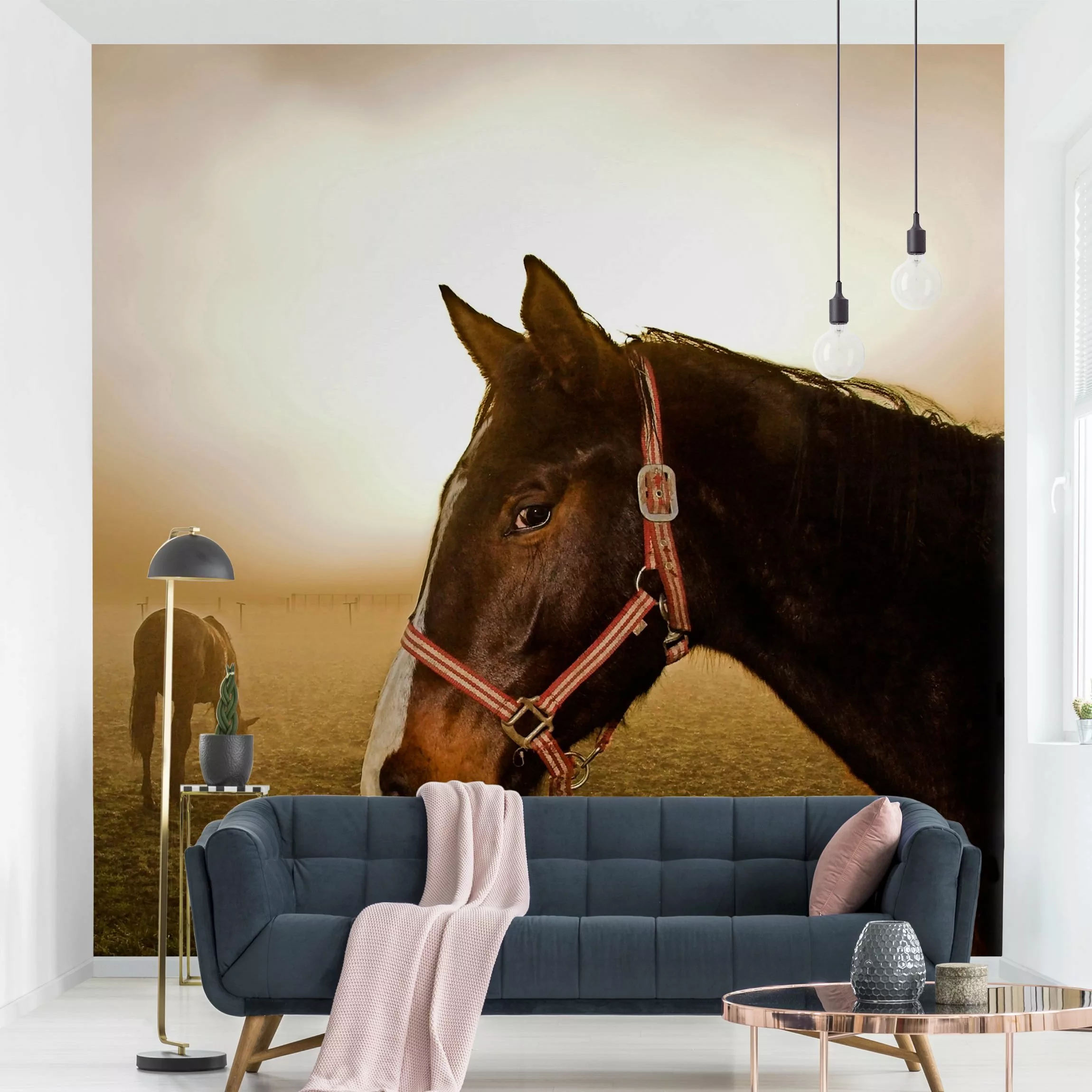 Bilderwelten Fototapete Early Horse bunt Gr. 192 x 192 günstig online kaufen