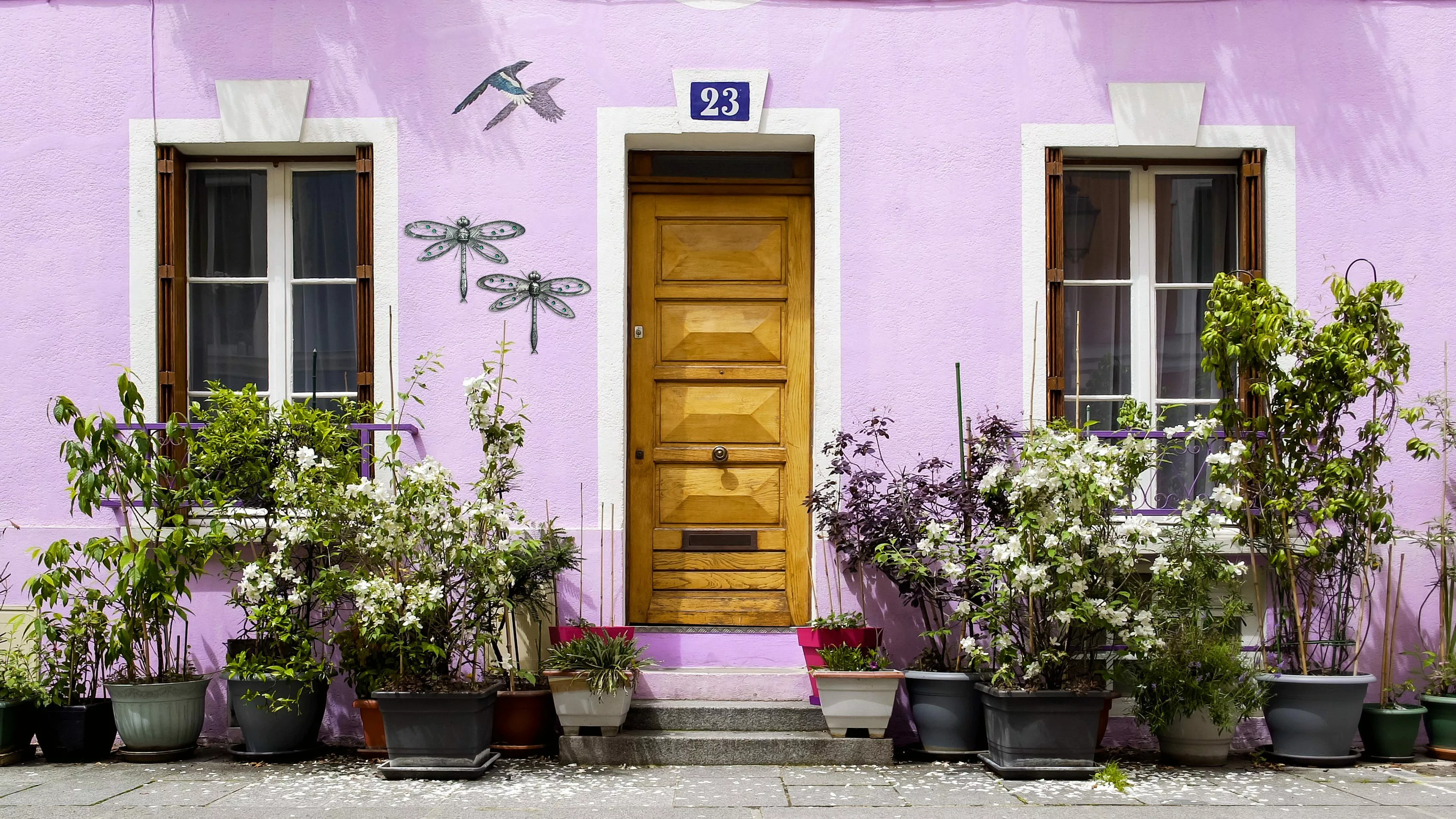 Kobolo Wandbild Libelle Wandschmuck- 2er Set günstig online kaufen