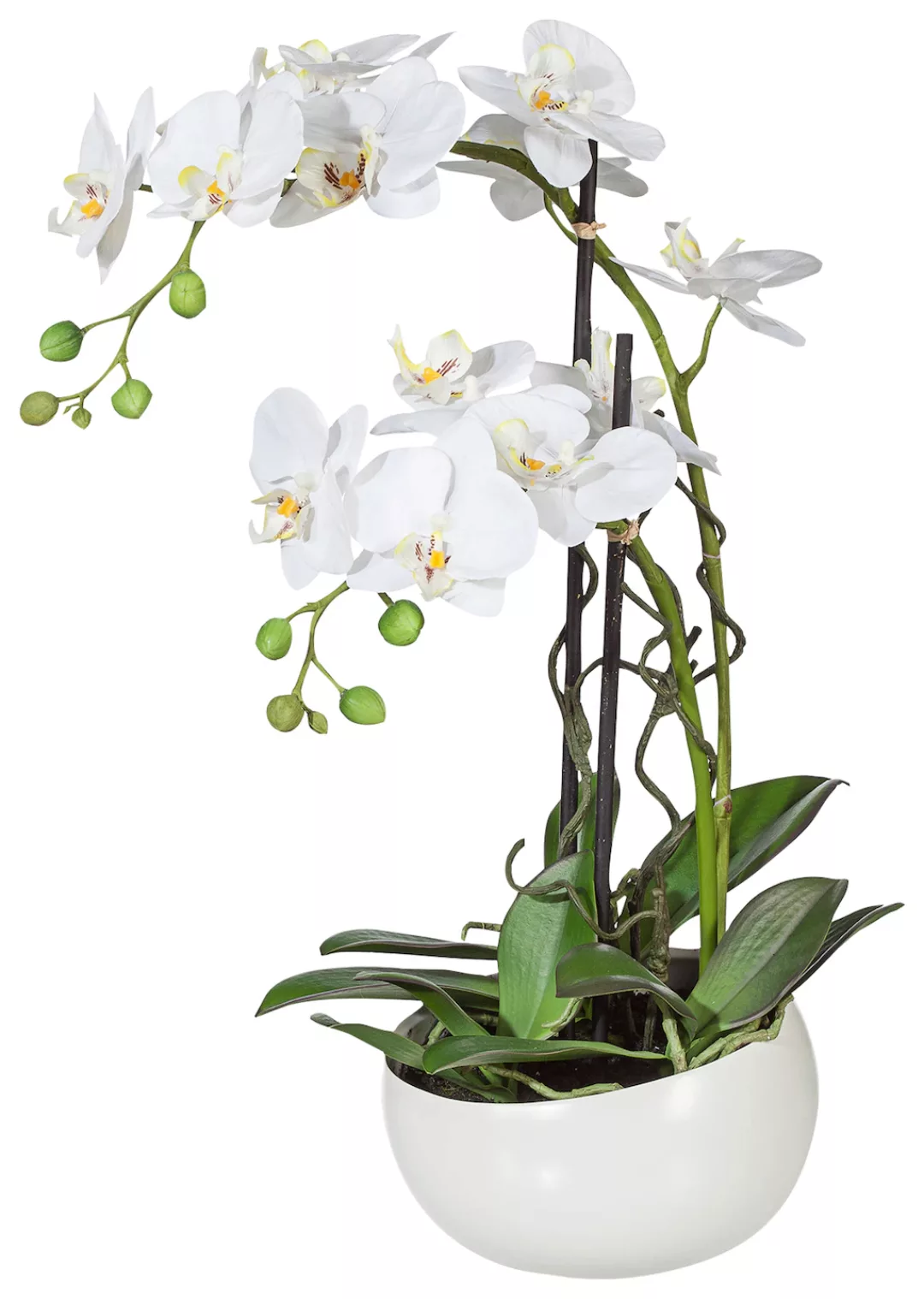 Creativ green Kunstpflanze "Orchidee" günstig online kaufen