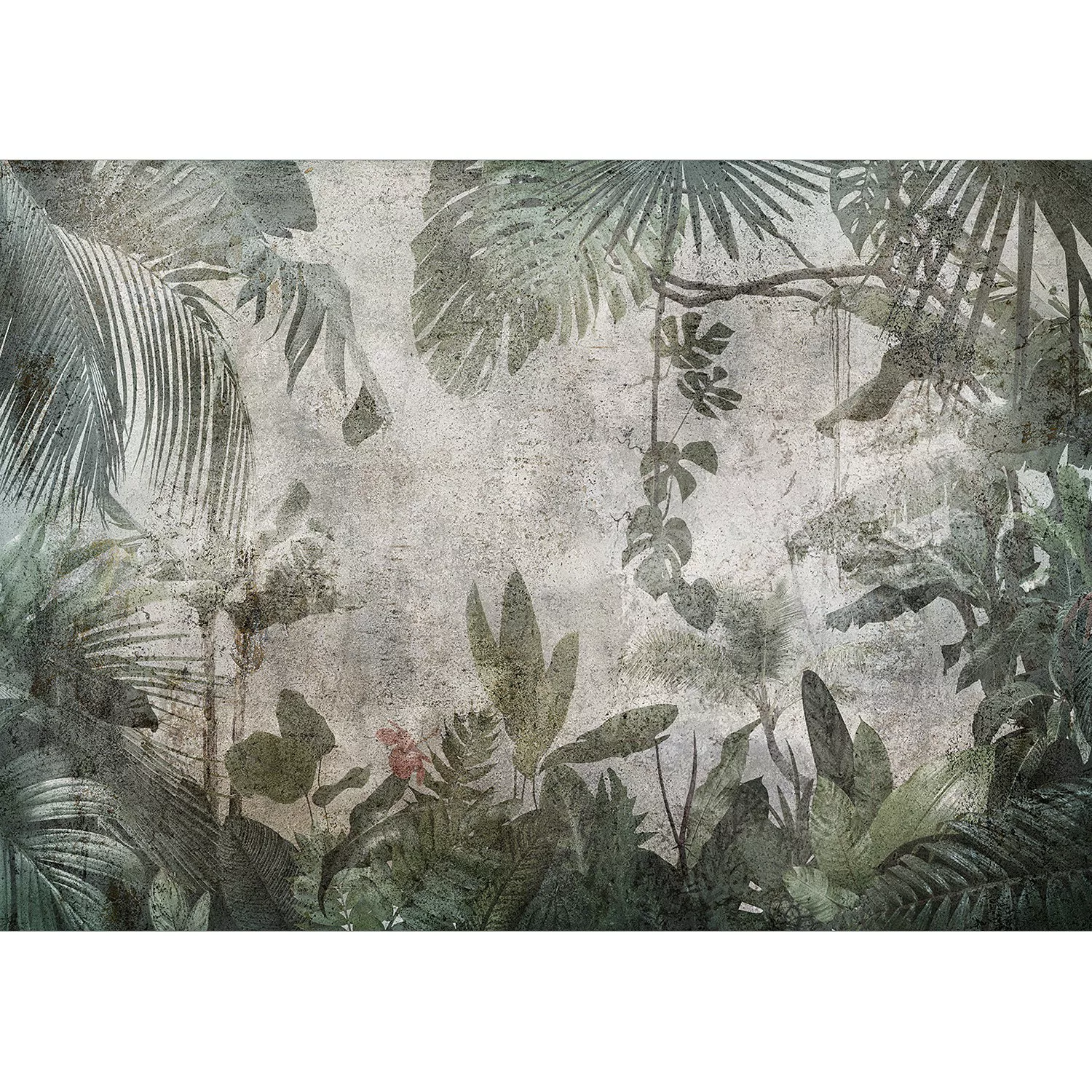 Fototapete - Rain Forest In The Fog günstig online kaufen