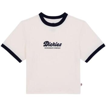 Dickies  T-Shirts & Poloshirts - günstig online kaufen