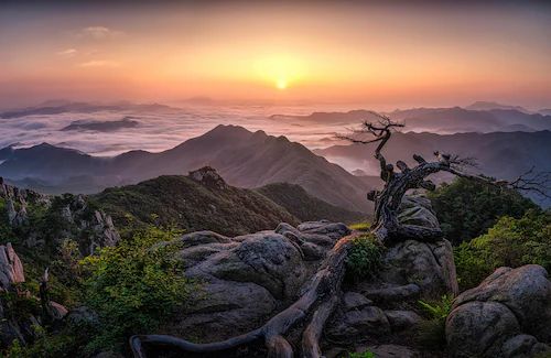 Papermoon Fototapete »Photo-Art TIGER SEO, SONNENAUFGANG AUF DER SPITZE« günstig online kaufen