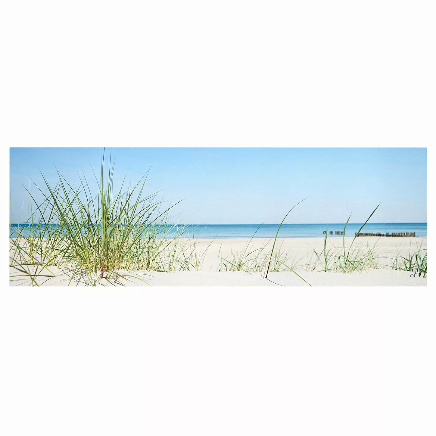 Leinwandbild Strand - Panorama Ostseeküste günstig online kaufen