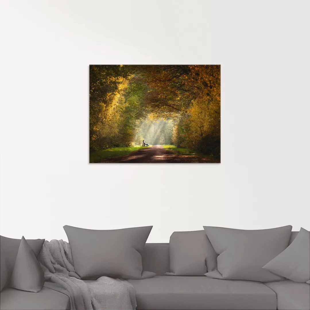 Artland Glasbild "Licht am Ende des Tunnels...", Wald, (1 St.) günstig online kaufen