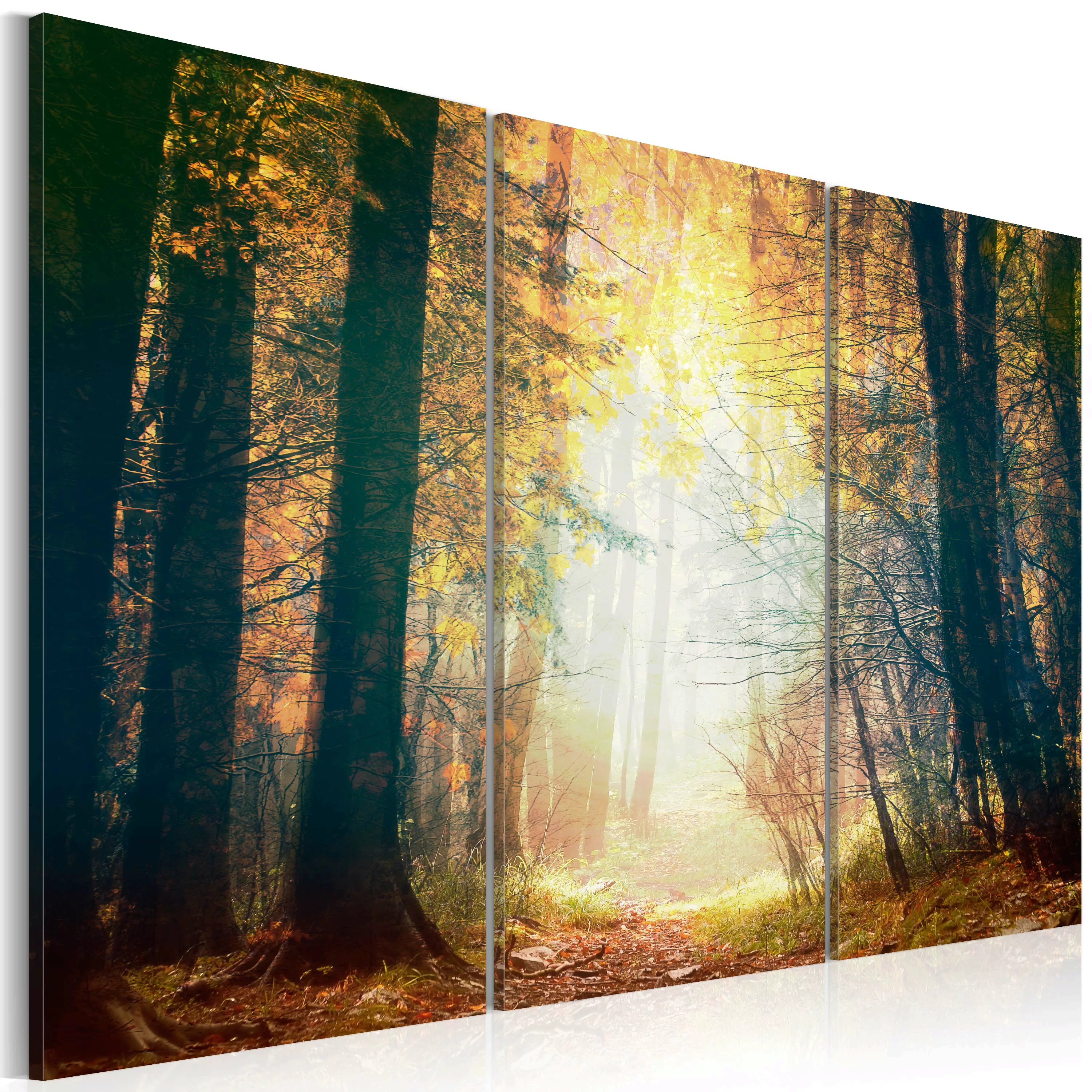 Wandbild - Schönheit Des Herbstes - Triptychon günstig online kaufen