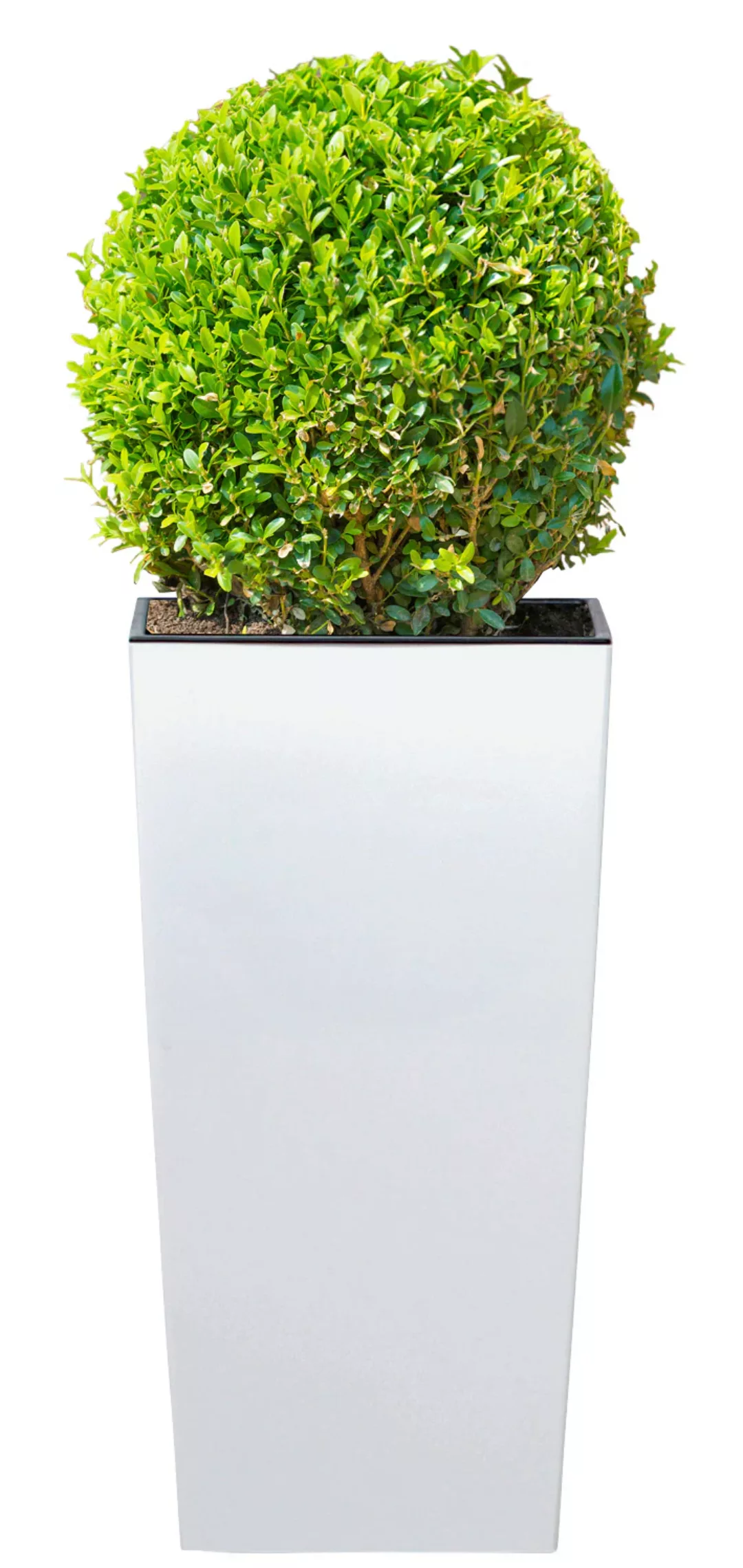 Prosperplast Blumentopf "Urbi Square 325" günstig online kaufen