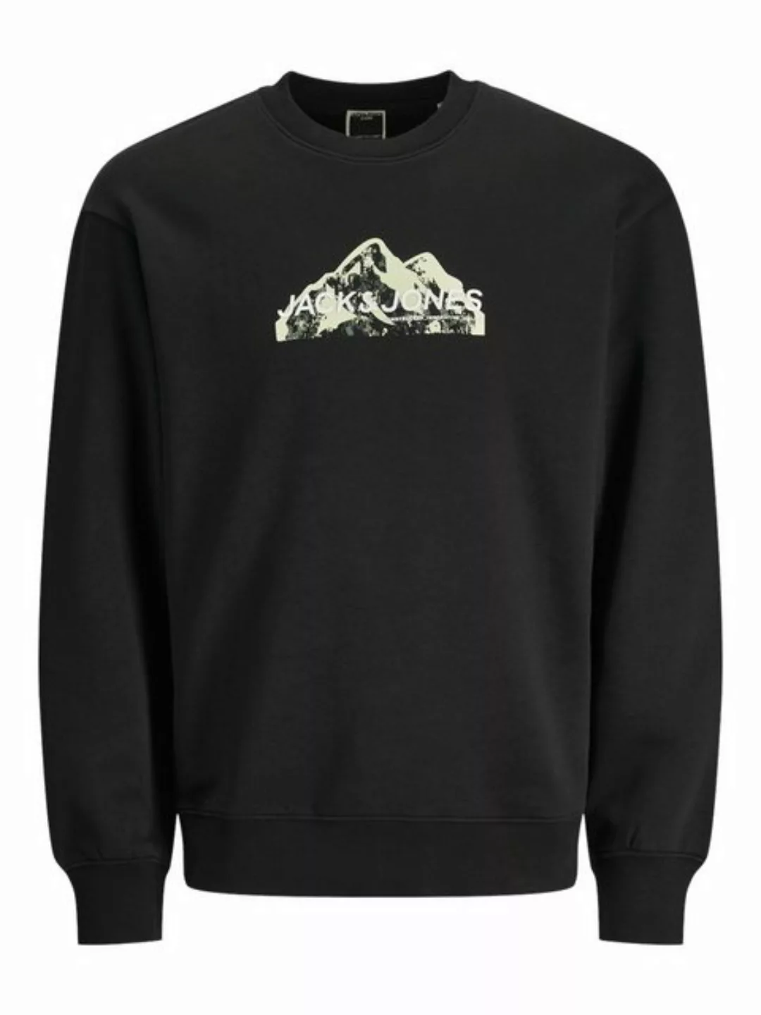 Jack & Jones Sweatshirt (1-tlg) günstig online kaufen