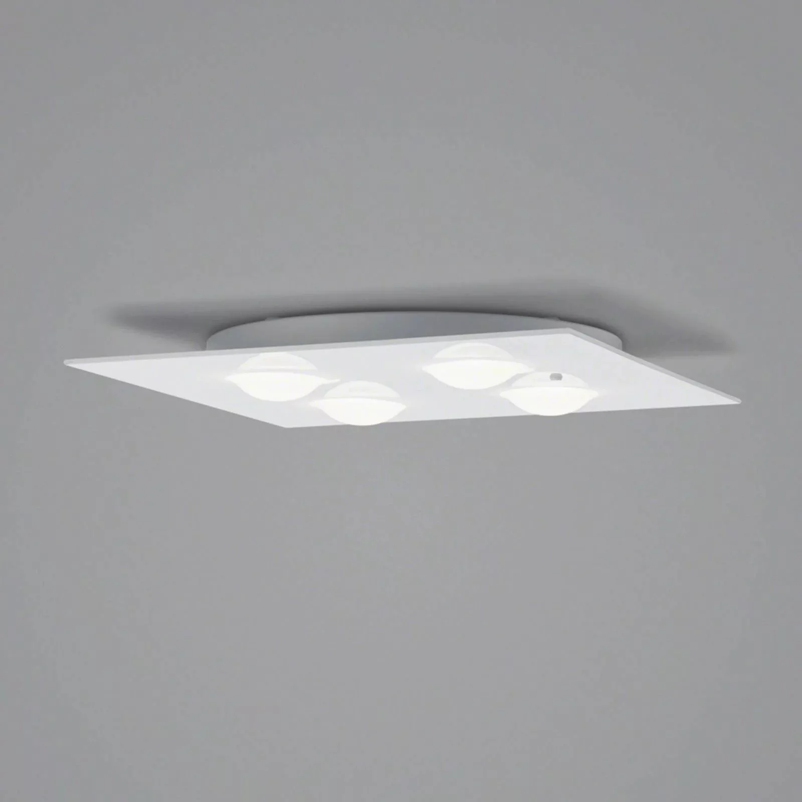 Helestra Nomi LED-Deckenleuchte 38x38cm dim weiß günstig online kaufen