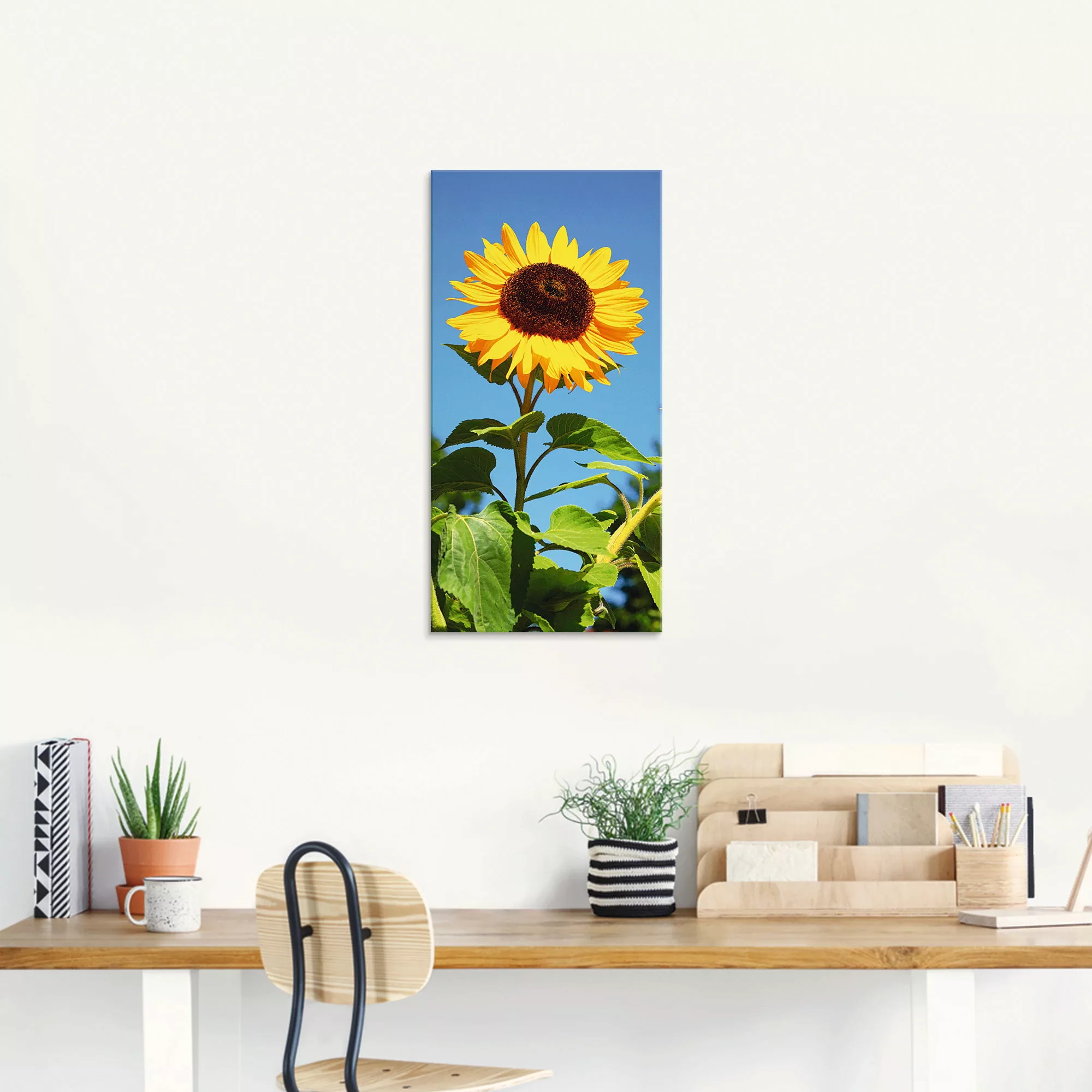 Artland Glasbild "Große Sonnenblume", Blumen, (1 St.), in verschiedenen Grö günstig online kaufen