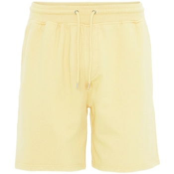Colorful Standard  Shorts Short  Classic Organic soft yellow günstig online kaufen