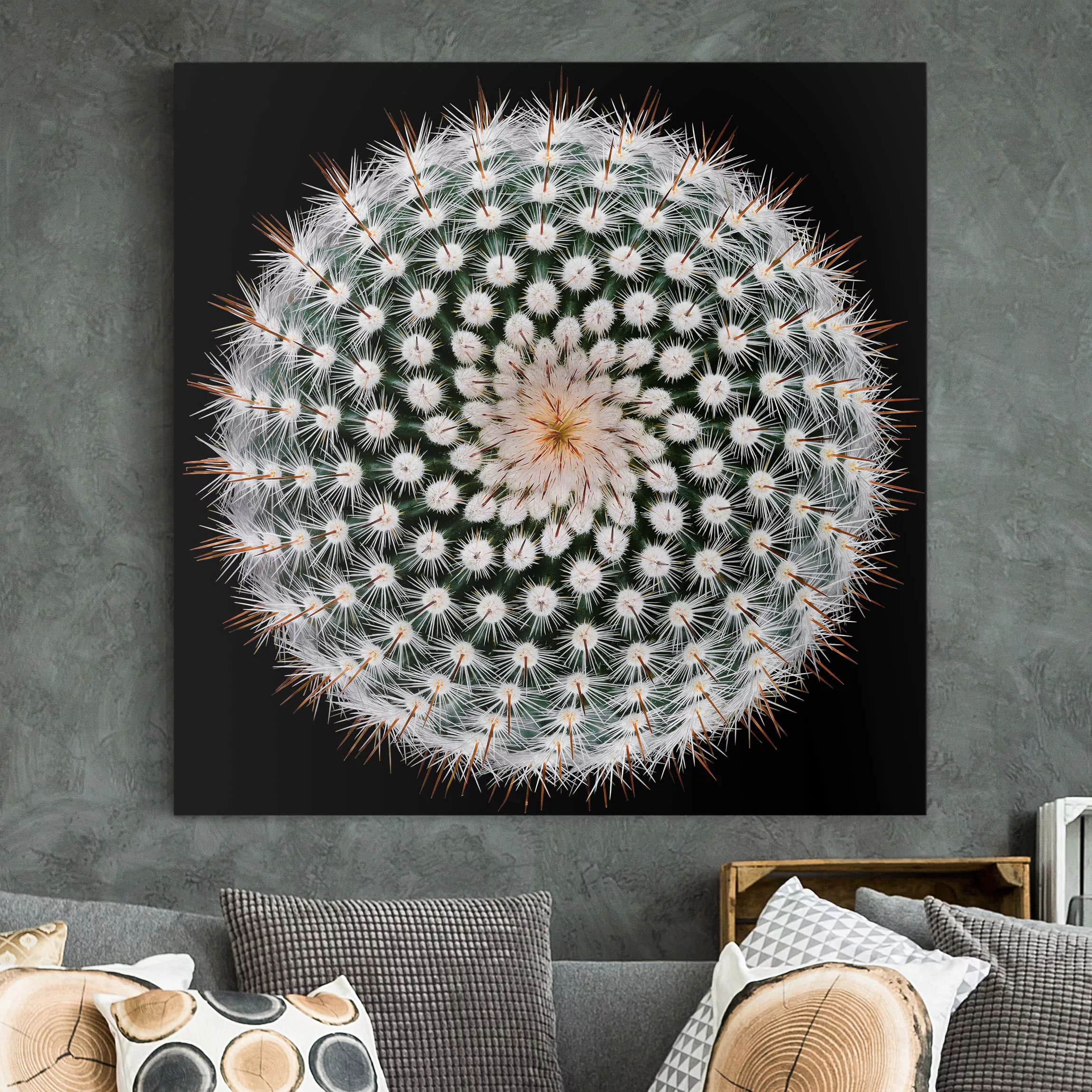 Leinwandbild Blumen - Quadrat Kaktusblüte günstig online kaufen