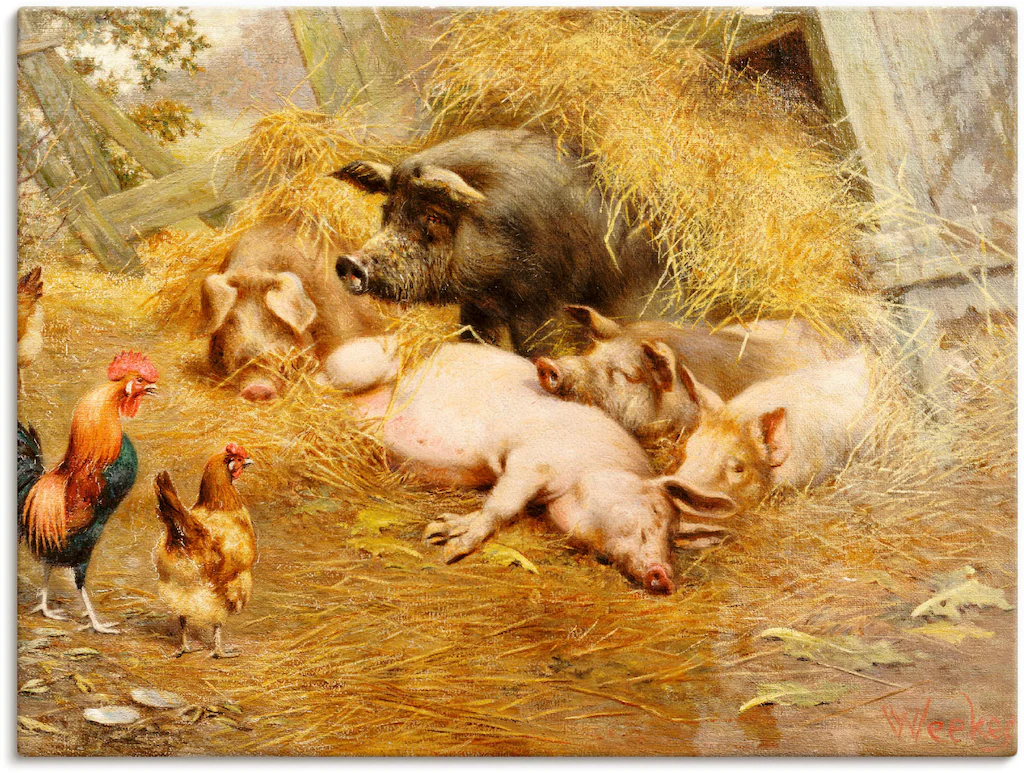 Artland Wandbild "Glückliches Tierleben.", Haustiere, (1 St.), als Leinwand günstig online kaufen