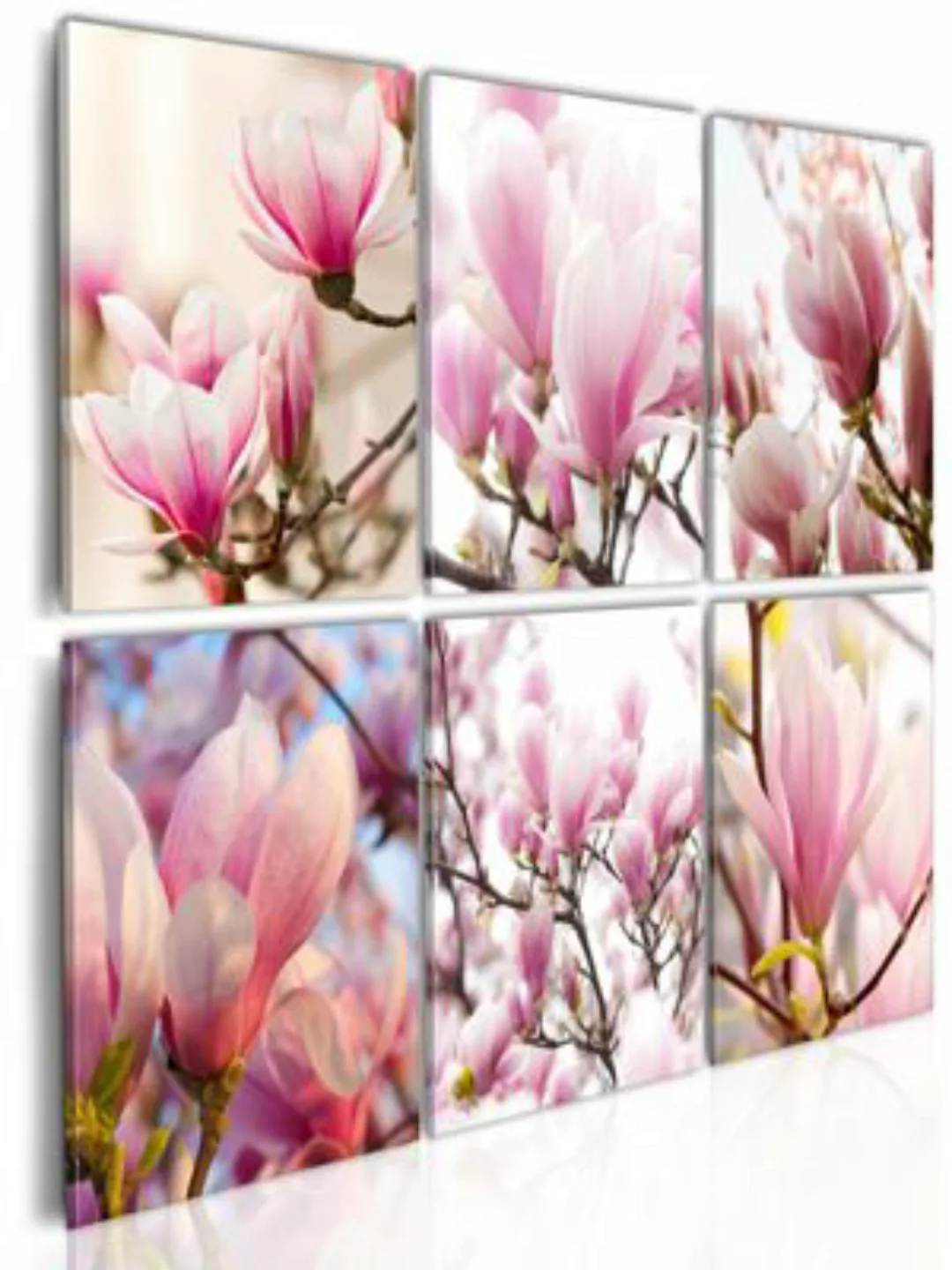 artgeist Wandbild Magnolien im Süden mehrfarbig Gr. 60 x 40 günstig online kaufen