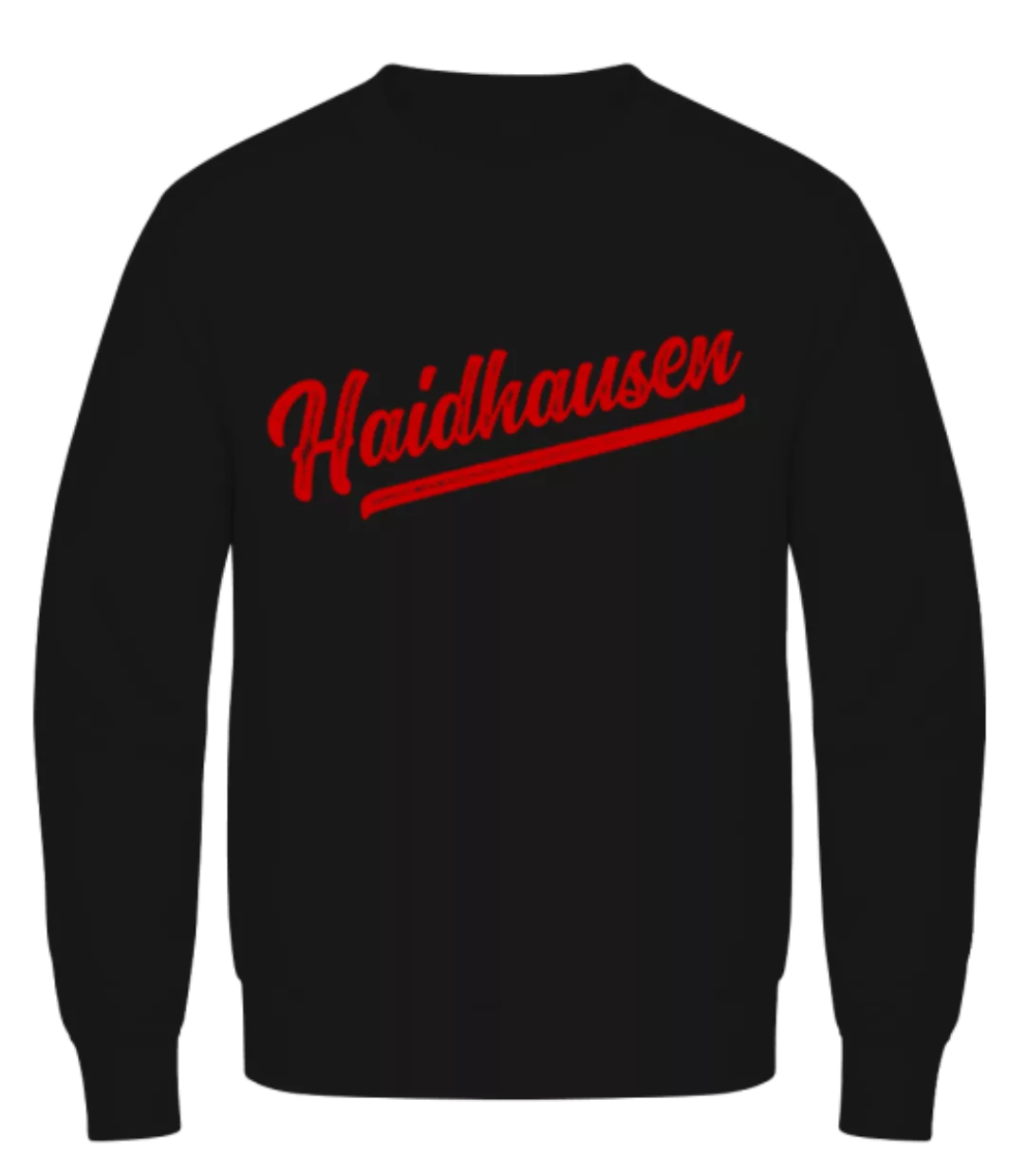 Haidhausen Swoosh · Männer Pullover günstig online kaufen