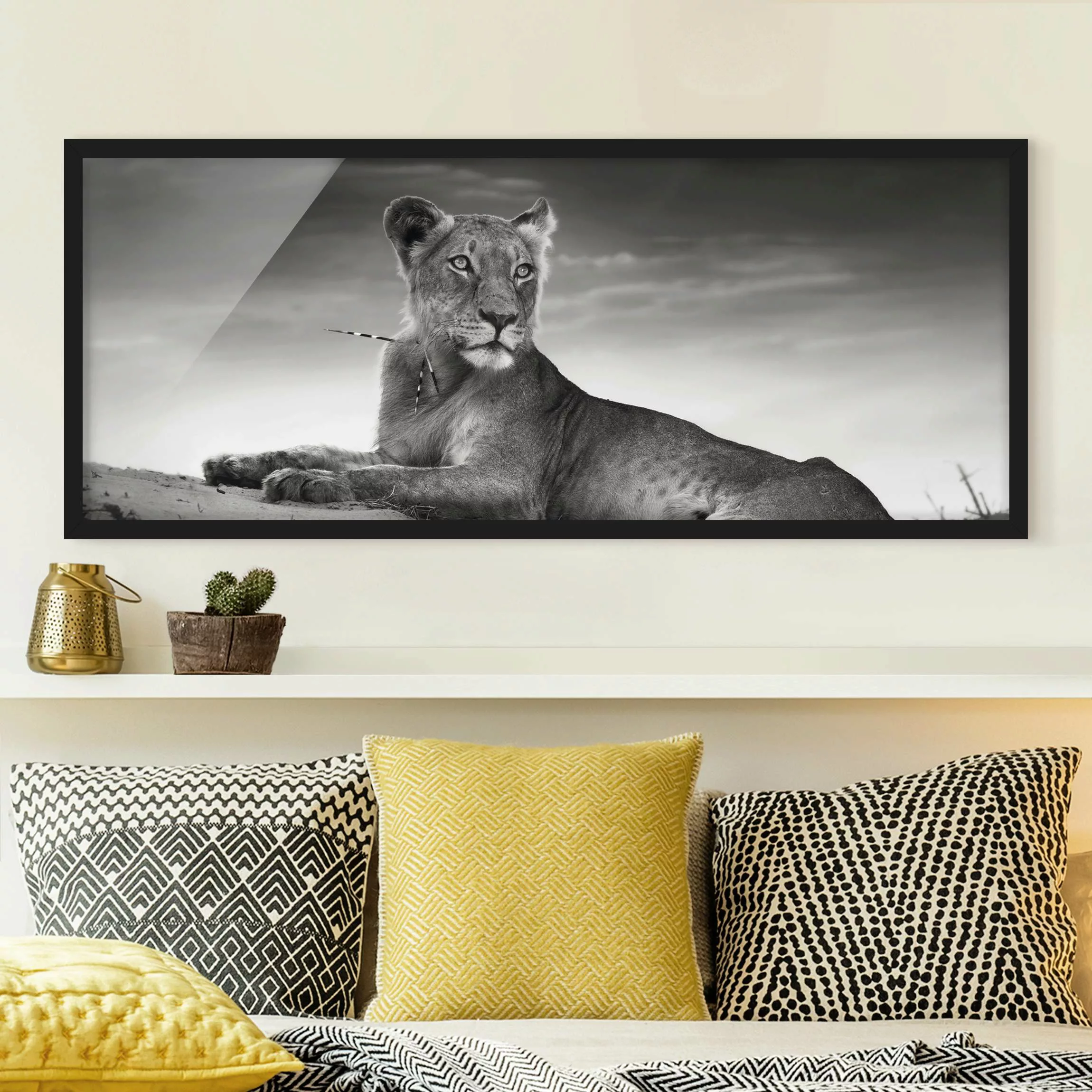 Bild mit Rahmen Schwarz-Weiß - Panorama Resting Lion günstig online kaufen