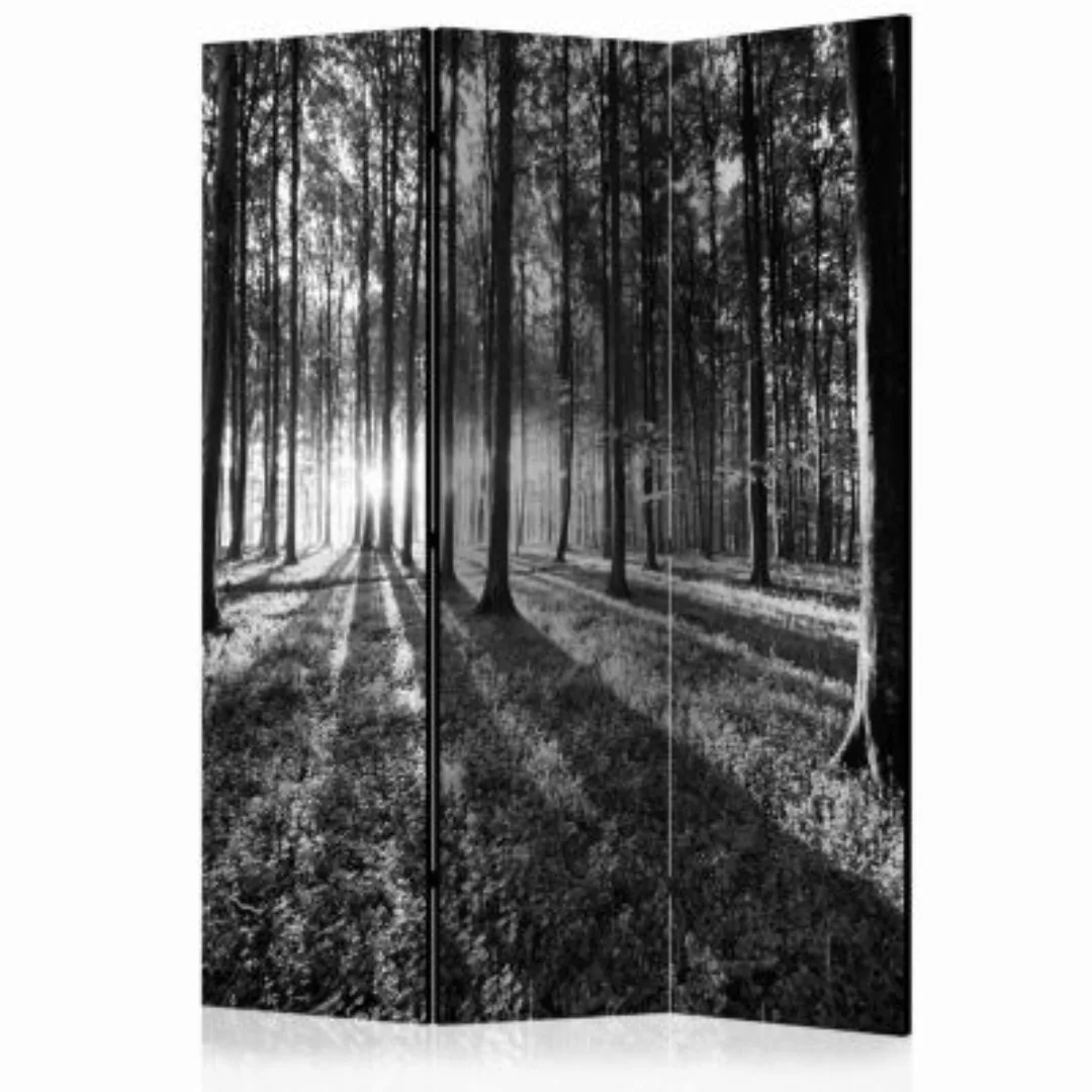 artgeist Paravent Grey Wilderness [Room Dividers] schwarz/weiß Gr. 135 x 17 günstig online kaufen