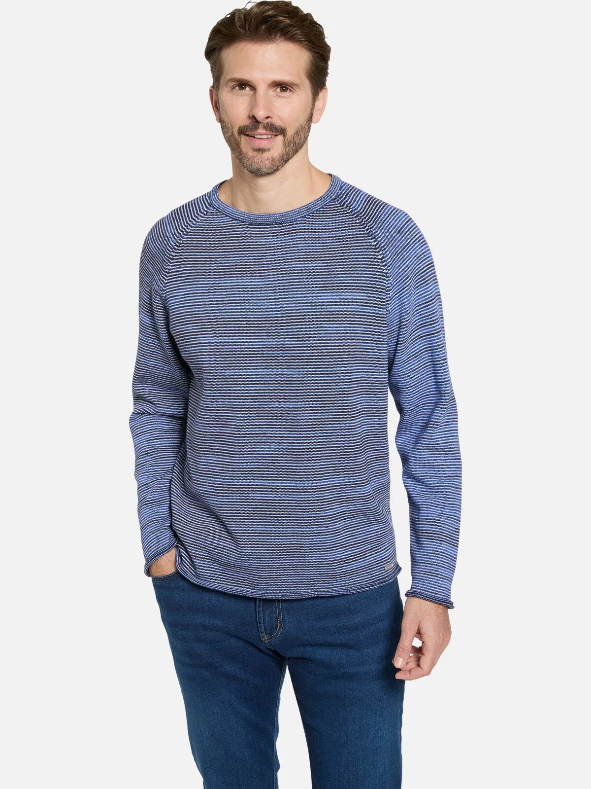 Babista Rundhalspullover "Pullover ALVENTI", im stilvollen Muster günstig online kaufen