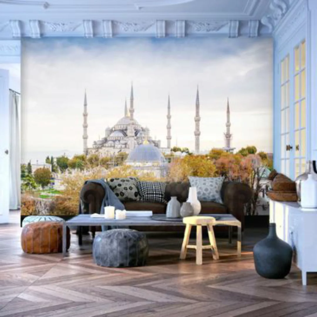 artgeist Fototapete Hagia Sophia - Istanbul mehrfarbig Gr. 100 x 70 günstig online kaufen