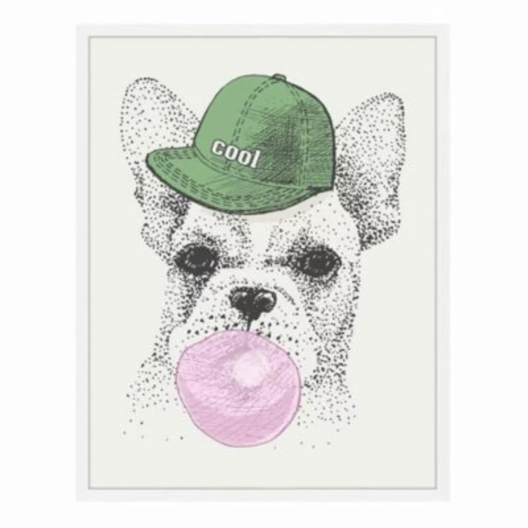 Any Image Wandbild Cooler Hund weiß Gr. 60 x 80 günstig online kaufen