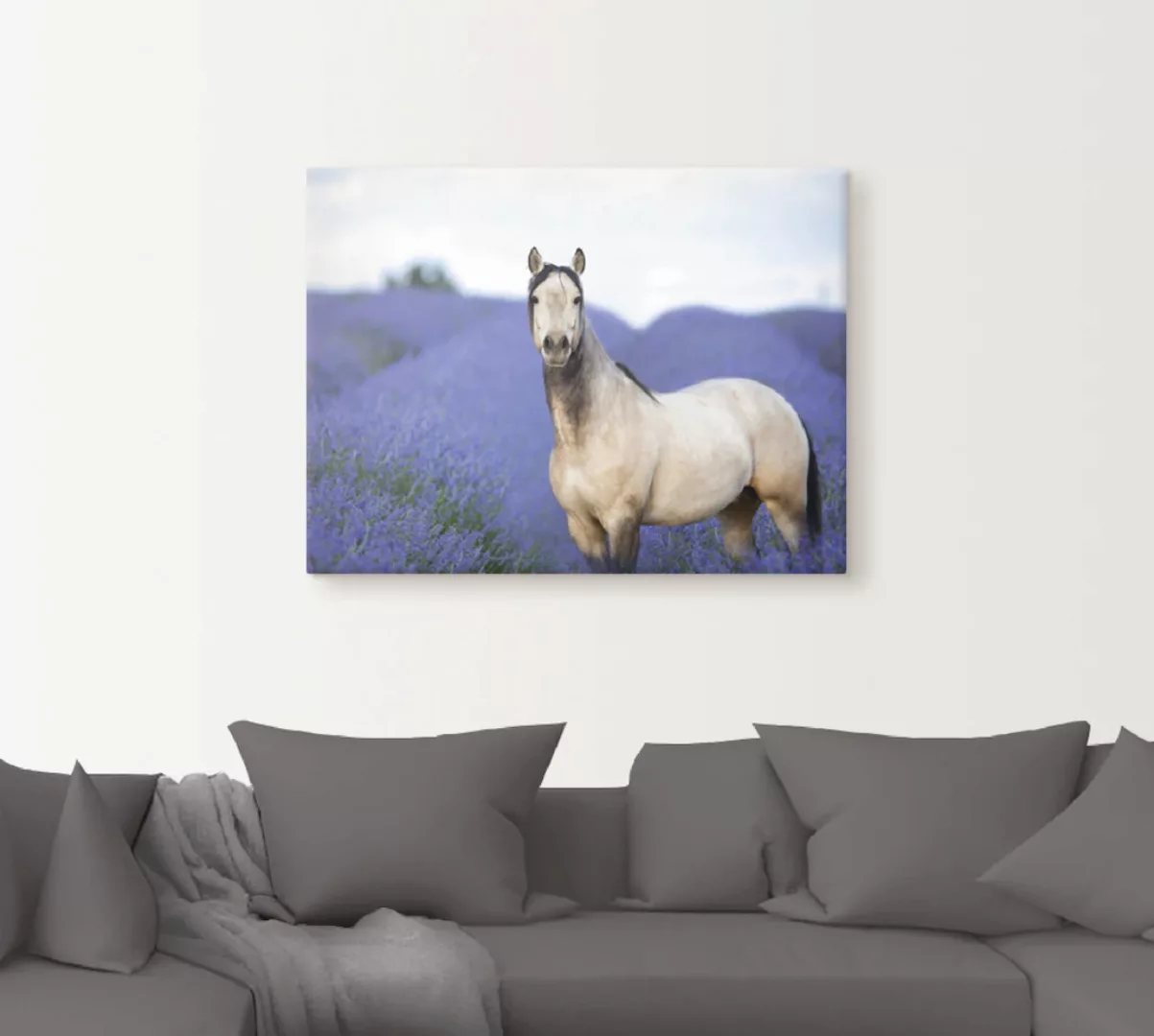 Artland Wandbild "Pferd und Blumen III", Haustiere, (1 St.), als Leinwandbi günstig online kaufen