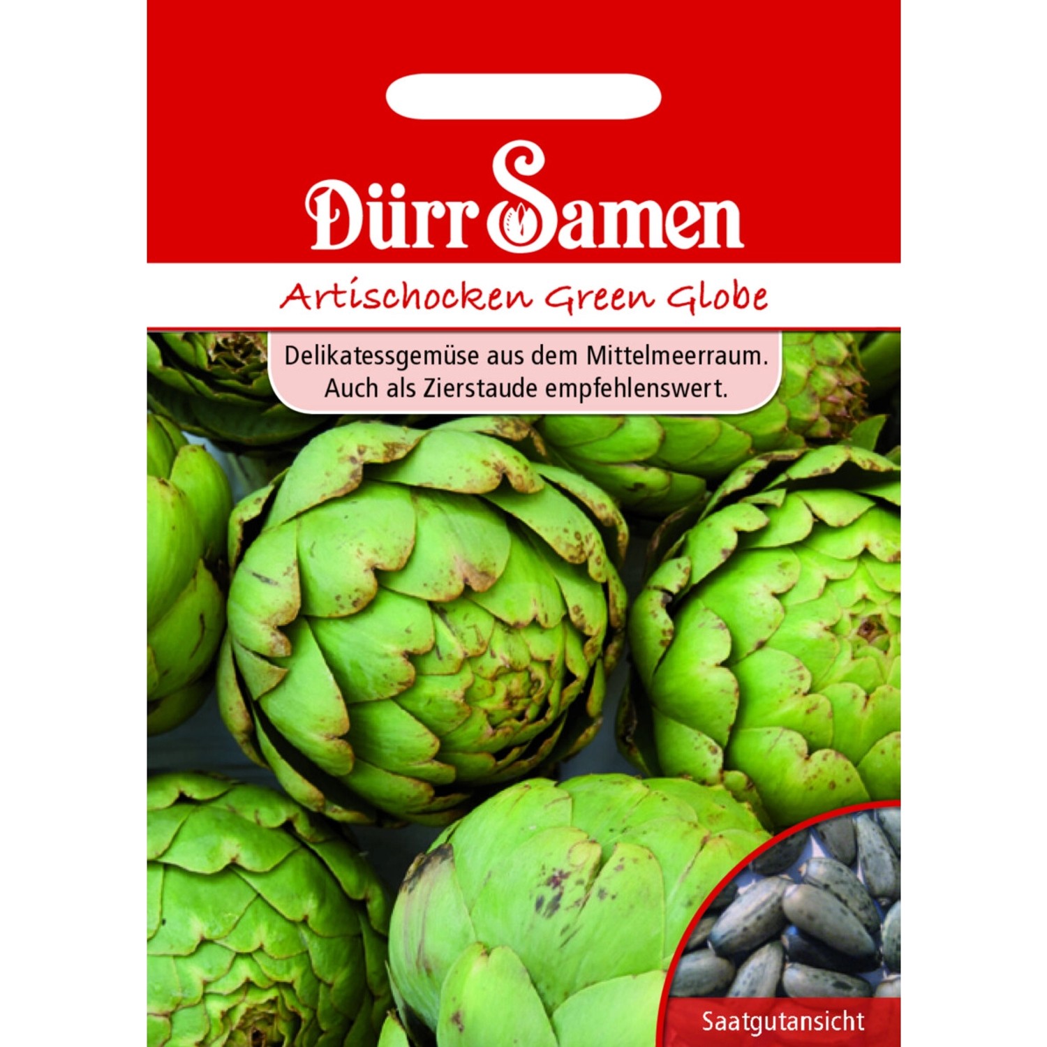Dürr Samen Artischocken Green Globe Saatgut günstig online kaufen