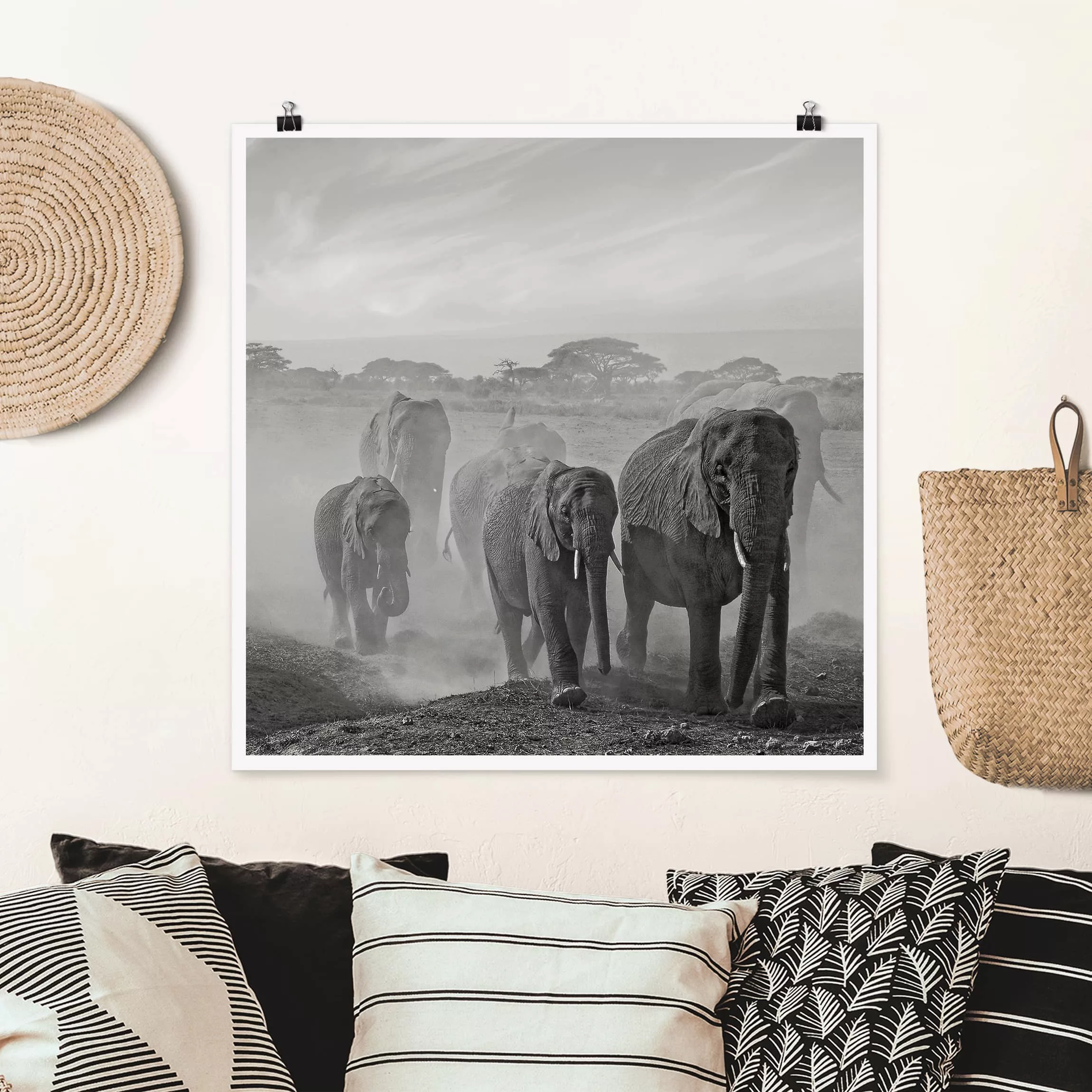 Poster Tiere - Quadrat Elefantenherde günstig online kaufen
