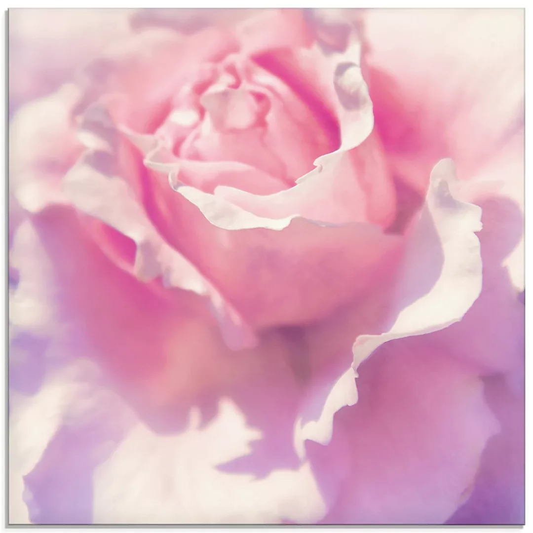 Artland Glasbild »Rosa«, Blumen, (1 St.) günstig online kaufen