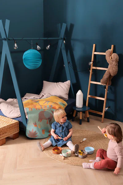 Biederlack Babydecke »Babydecke Expedition«, Babydecke Expedition mit unter günstig online kaufen