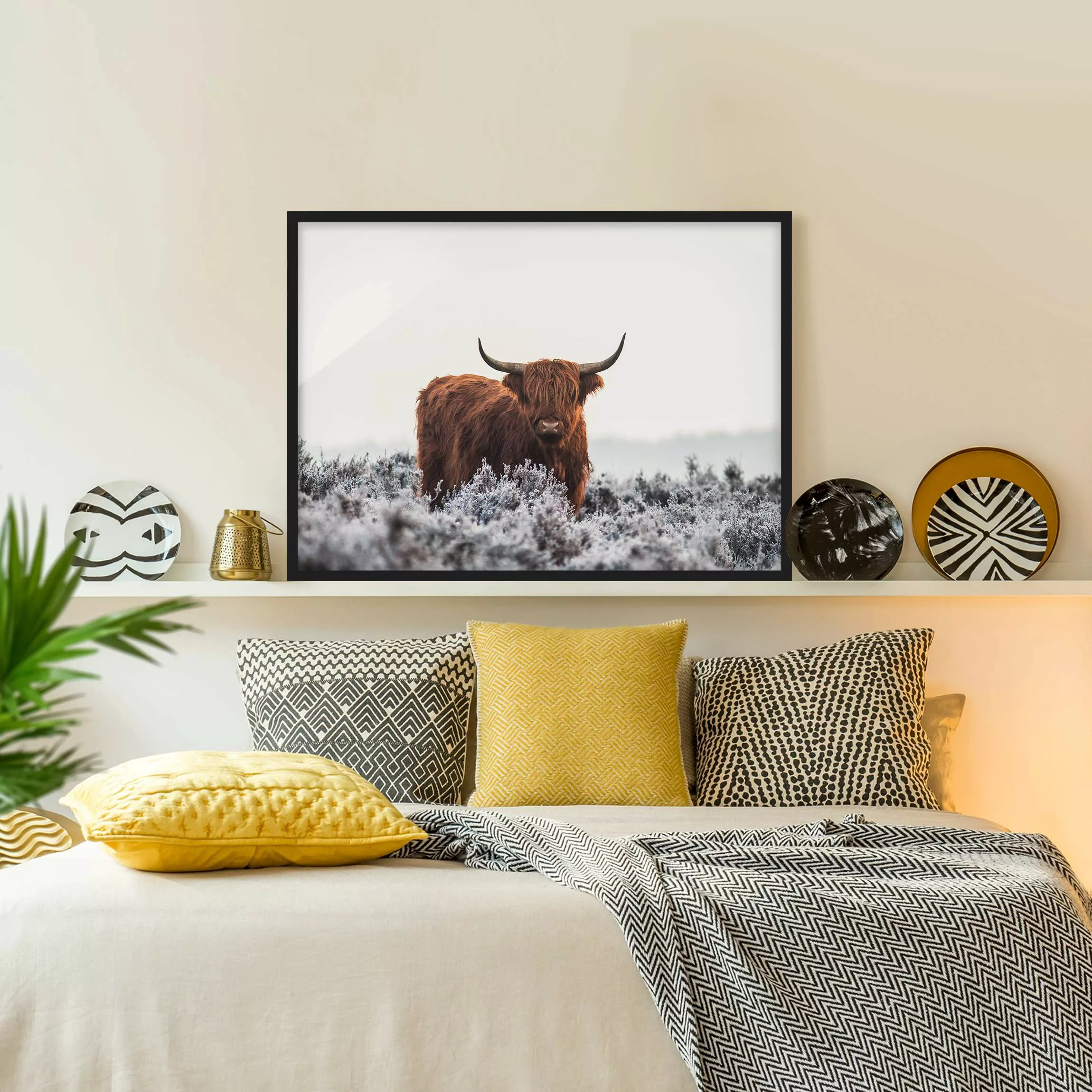 Bild mit Rahmen Tiere - Querformat Bison in den Highlands günstig online kaufen
