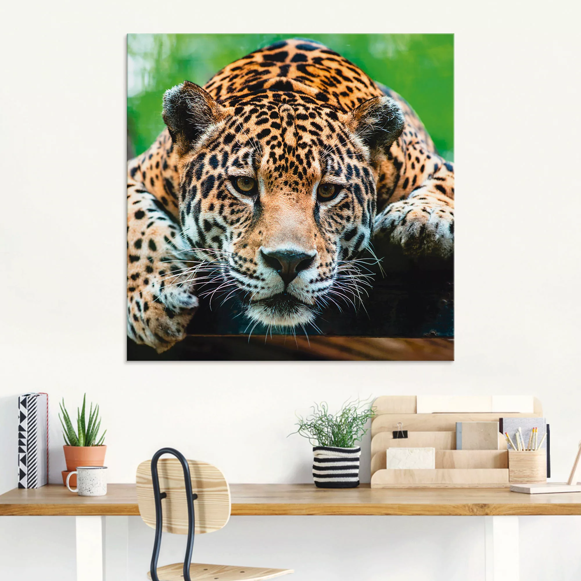 Artland Glasbild "Südamerikanischer Jaguar", Wildtiere, (1 St.) günstig online kaufen