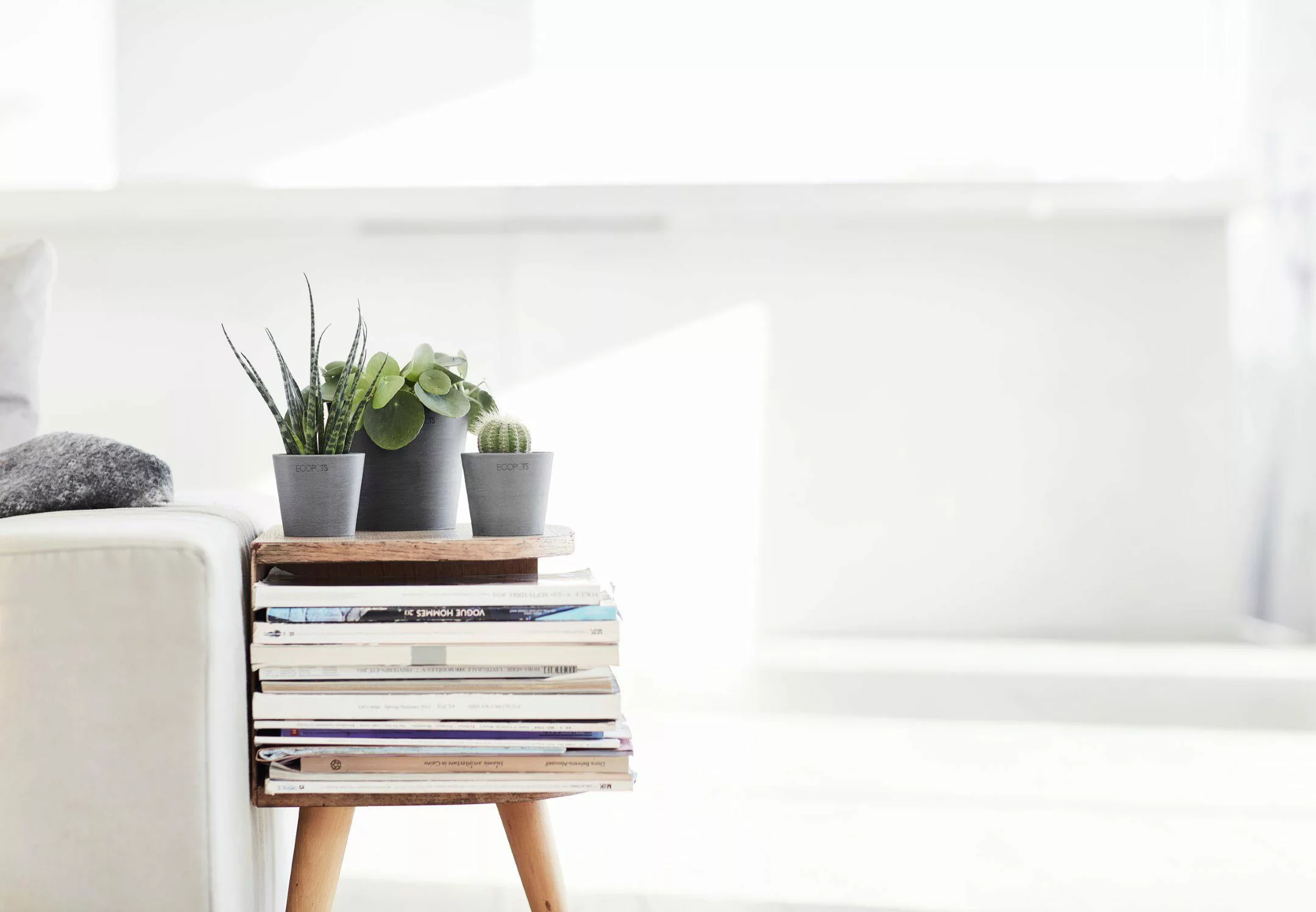 Ecopots Pflanztopf Amsterdam Mini Grau 8 cm günstig online kaufen
