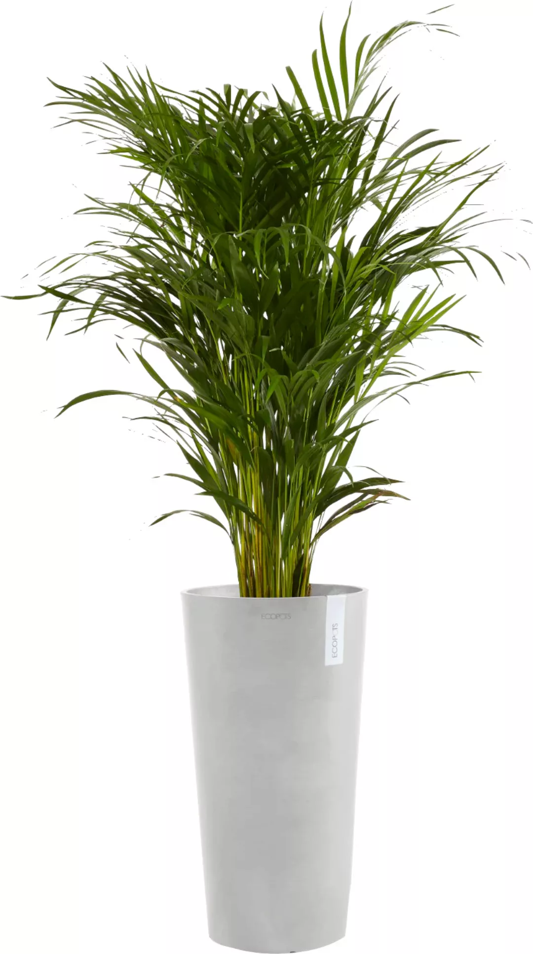 Ecopots Pflanztopf Amsterdam Halbhoch Weißgrau 34 cm x 66 cm günstig online kaufen