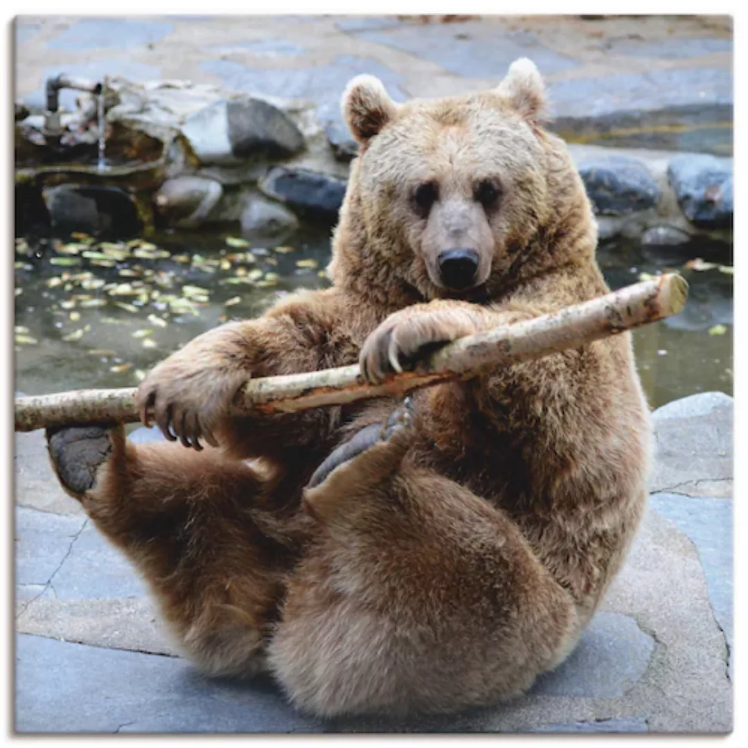 Artland Leinwandbild "Bär II", Wildtiere, (1 St.), auf Keilrahmen gespannt günstig online kaufen