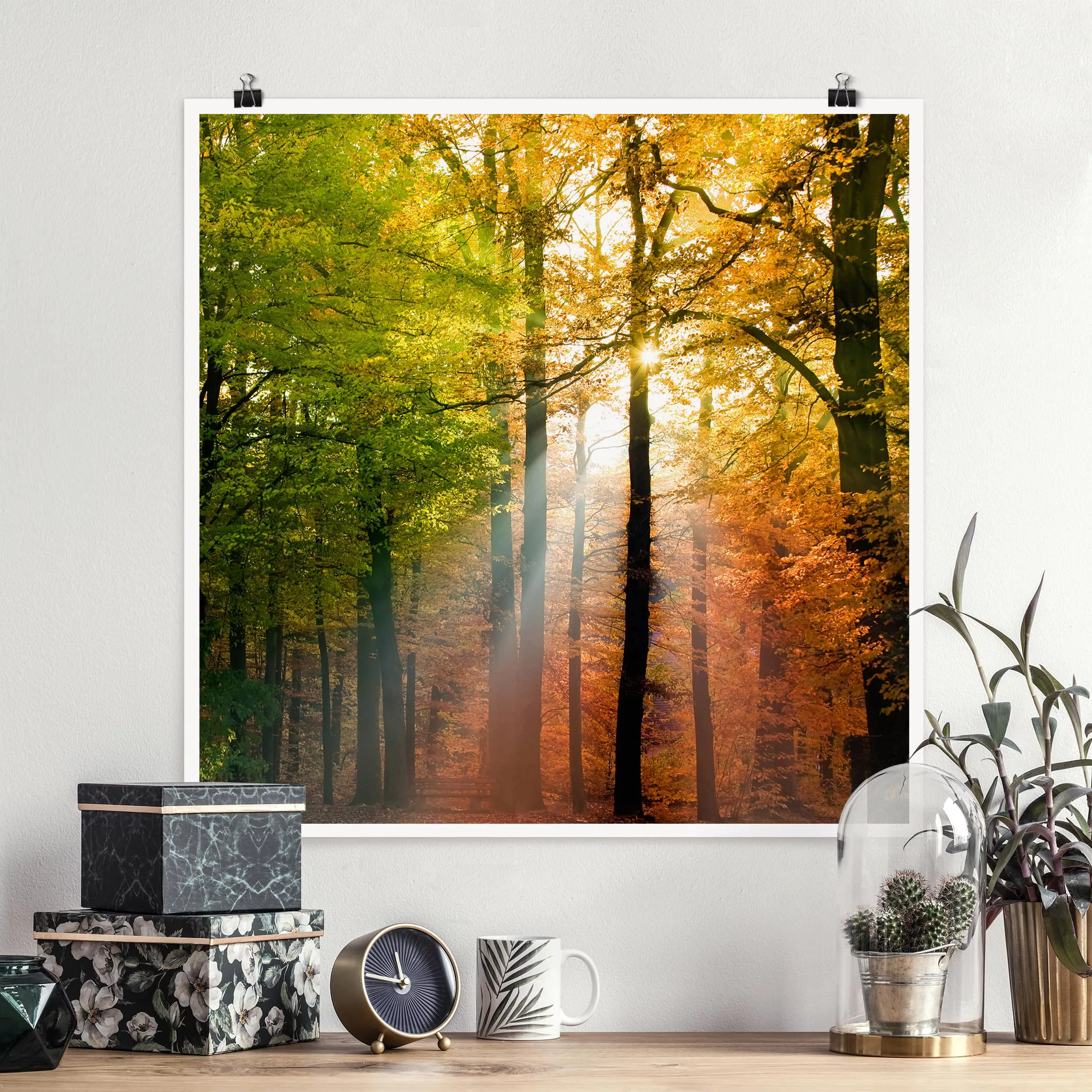 Poster Natur & Landschaft - Quadrat Morning Light günstig online kaufen
