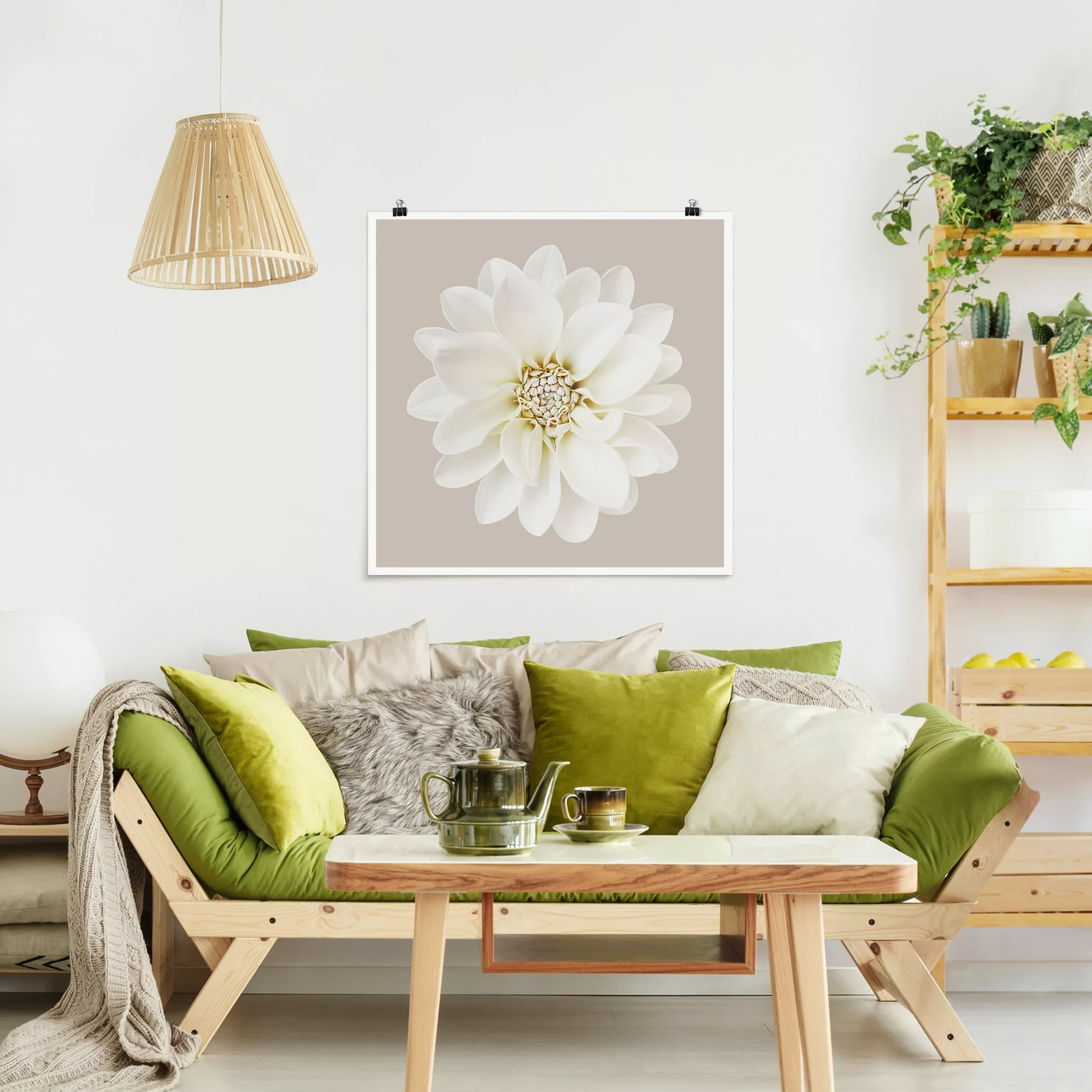 Poster Fotografie Dahlie Weiß Taupe Pastel Zentriert günstig online kaufen