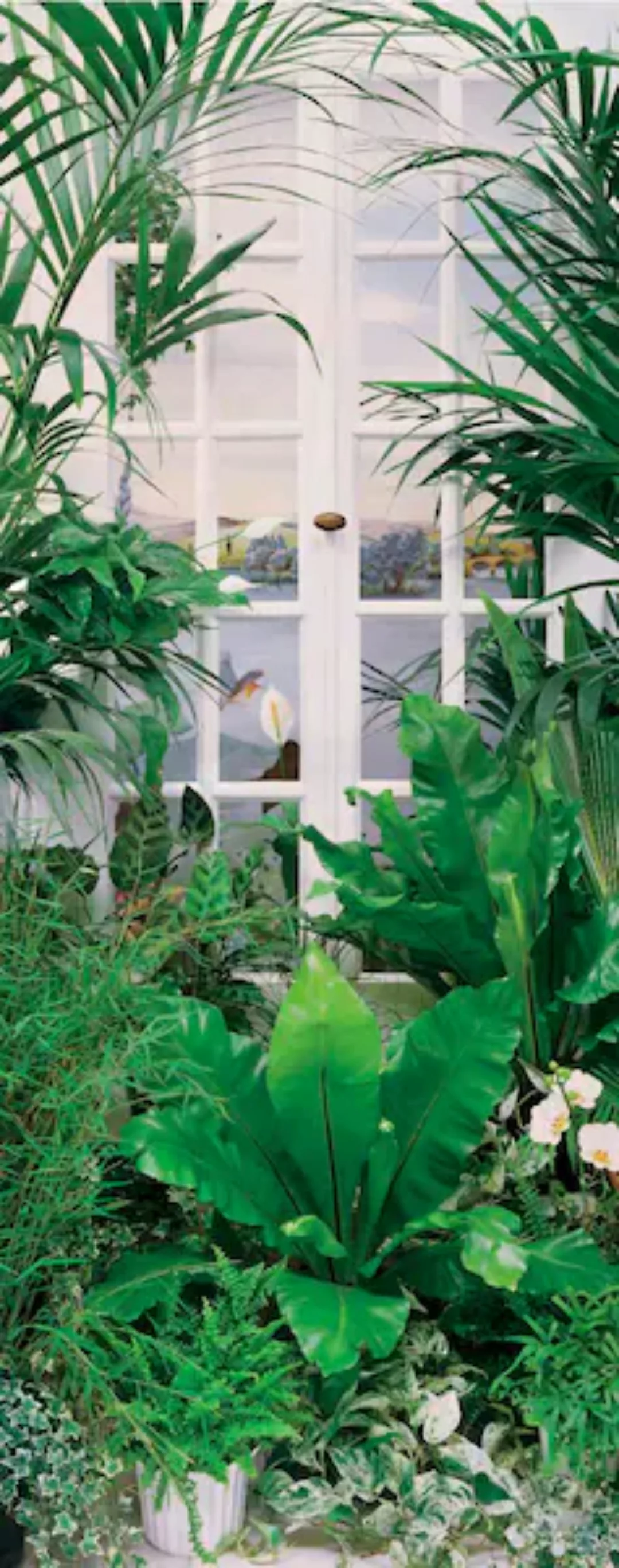 Papermoon Fototapete »Flower Window - Türtapete«, matt günstig online kaufen