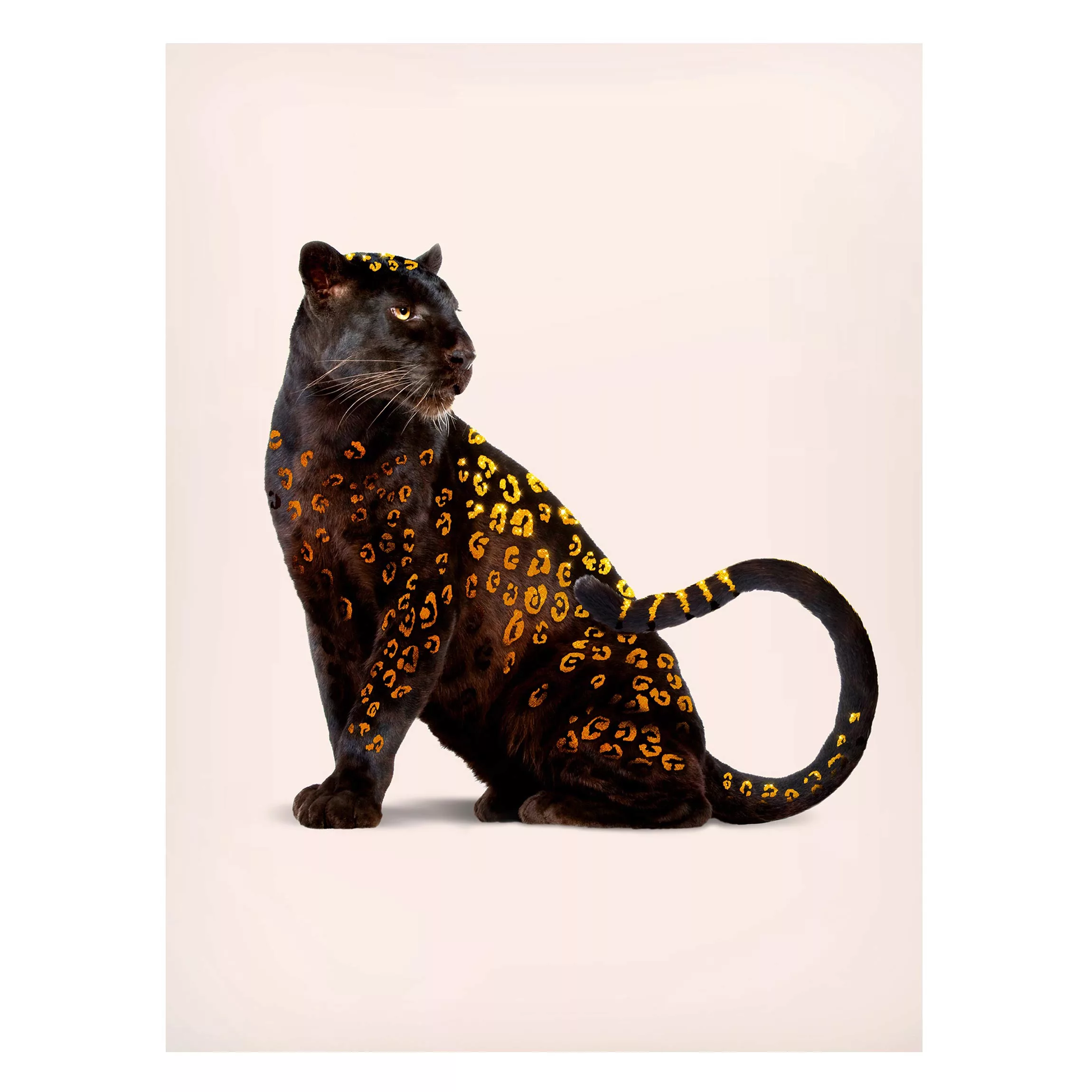 Magnettafel Tiere - Hochformat 3:4 Goldener Panther günstig online kaufen